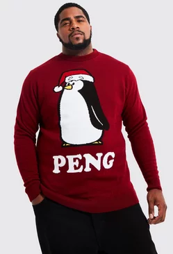 Plus Peng Novelty Christmas Sweater Wine