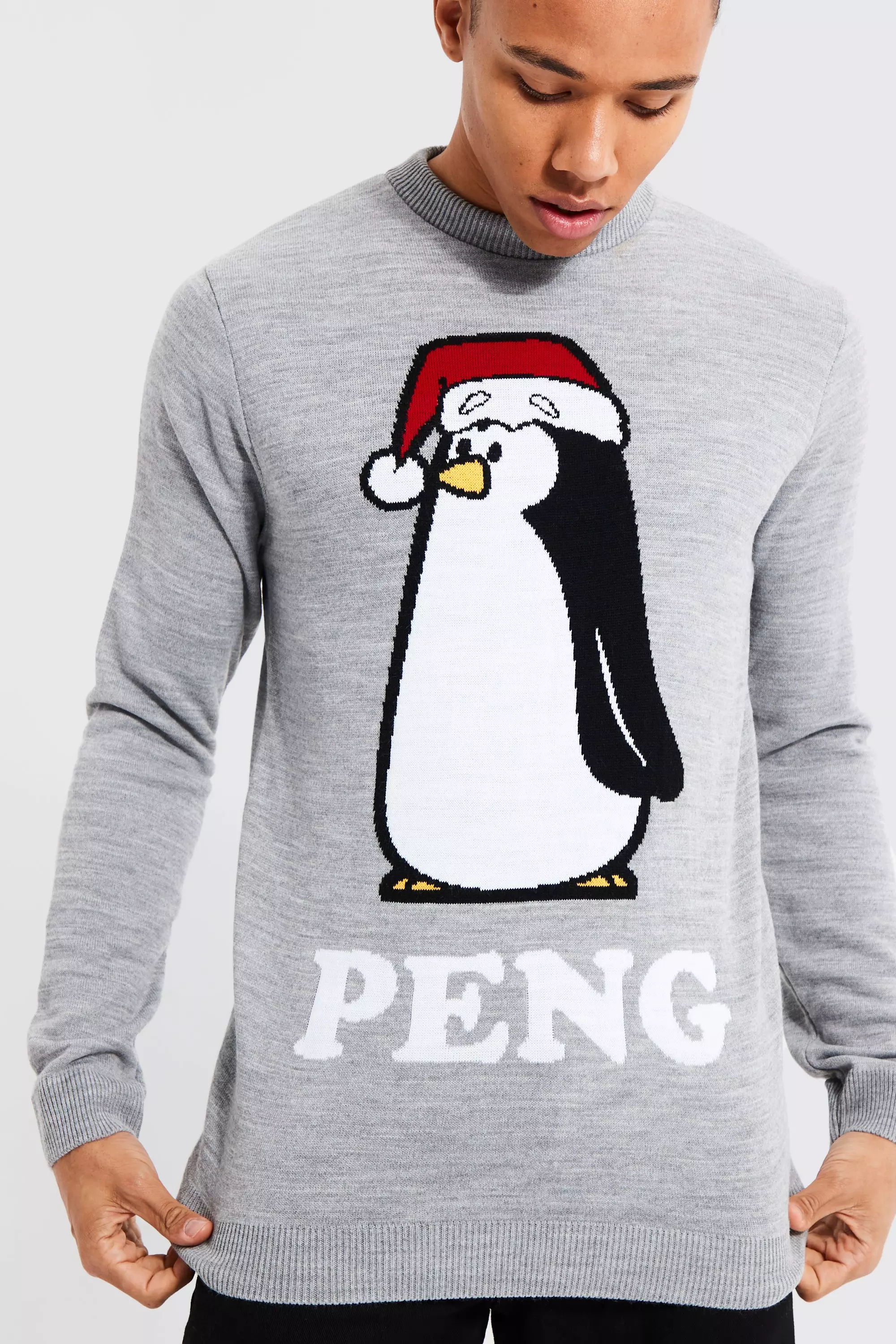 Grey marl Tall Peng Novelty Christmas Jumper alternative image