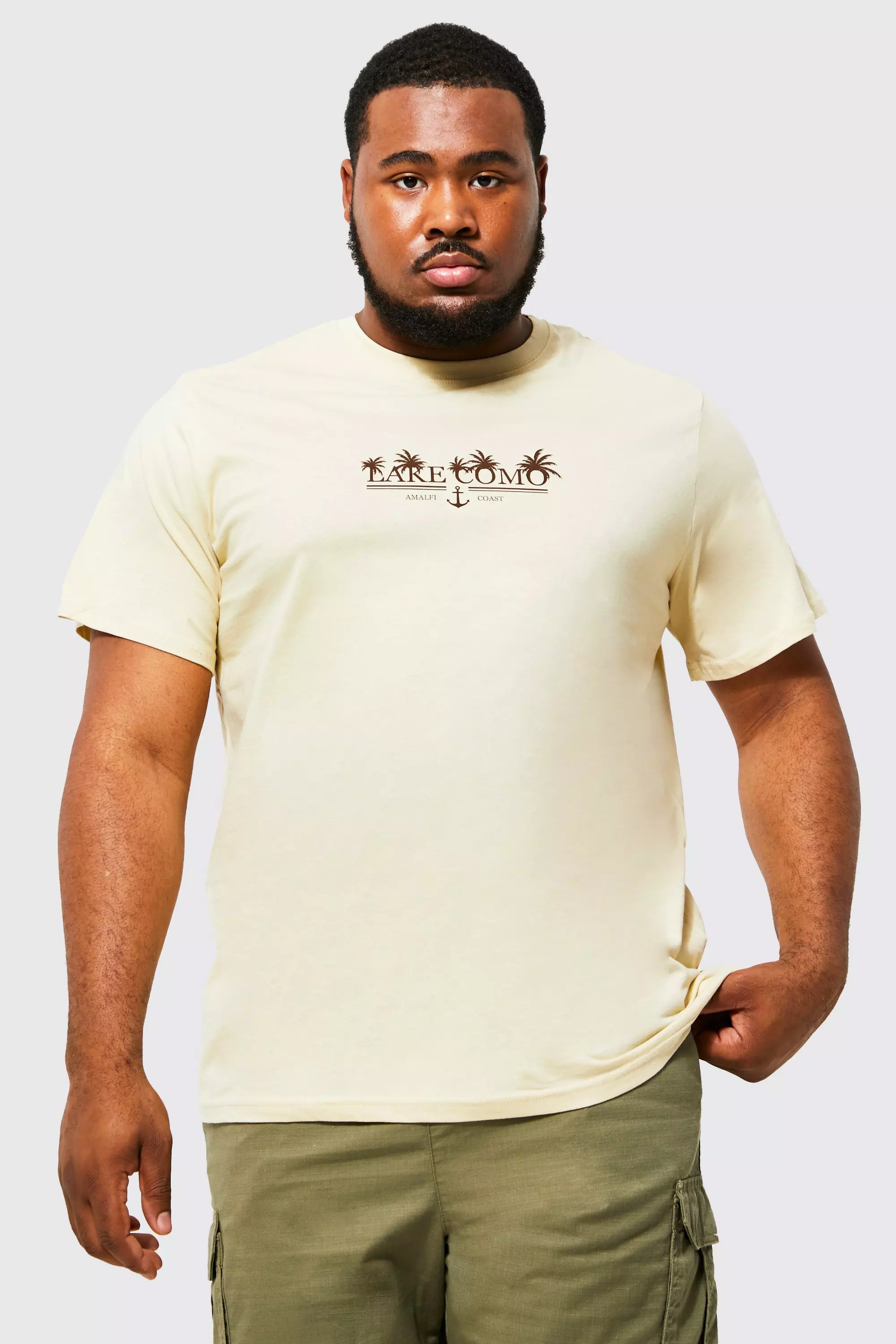 Sand Plus Lake Como Palm Print T-shirt alternative image
