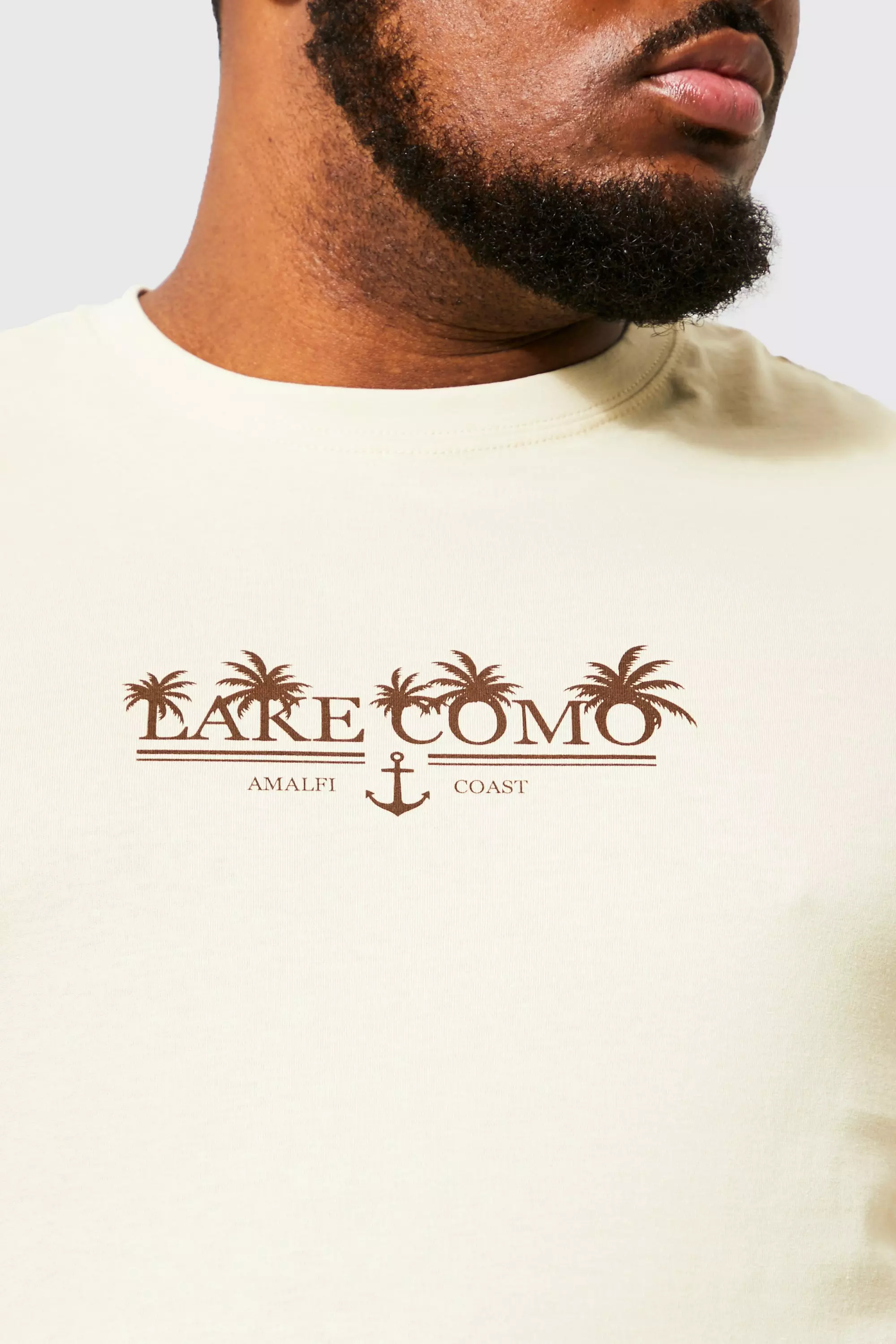 Sand Plus Lake Como Palm Print T-shirt alternative image
