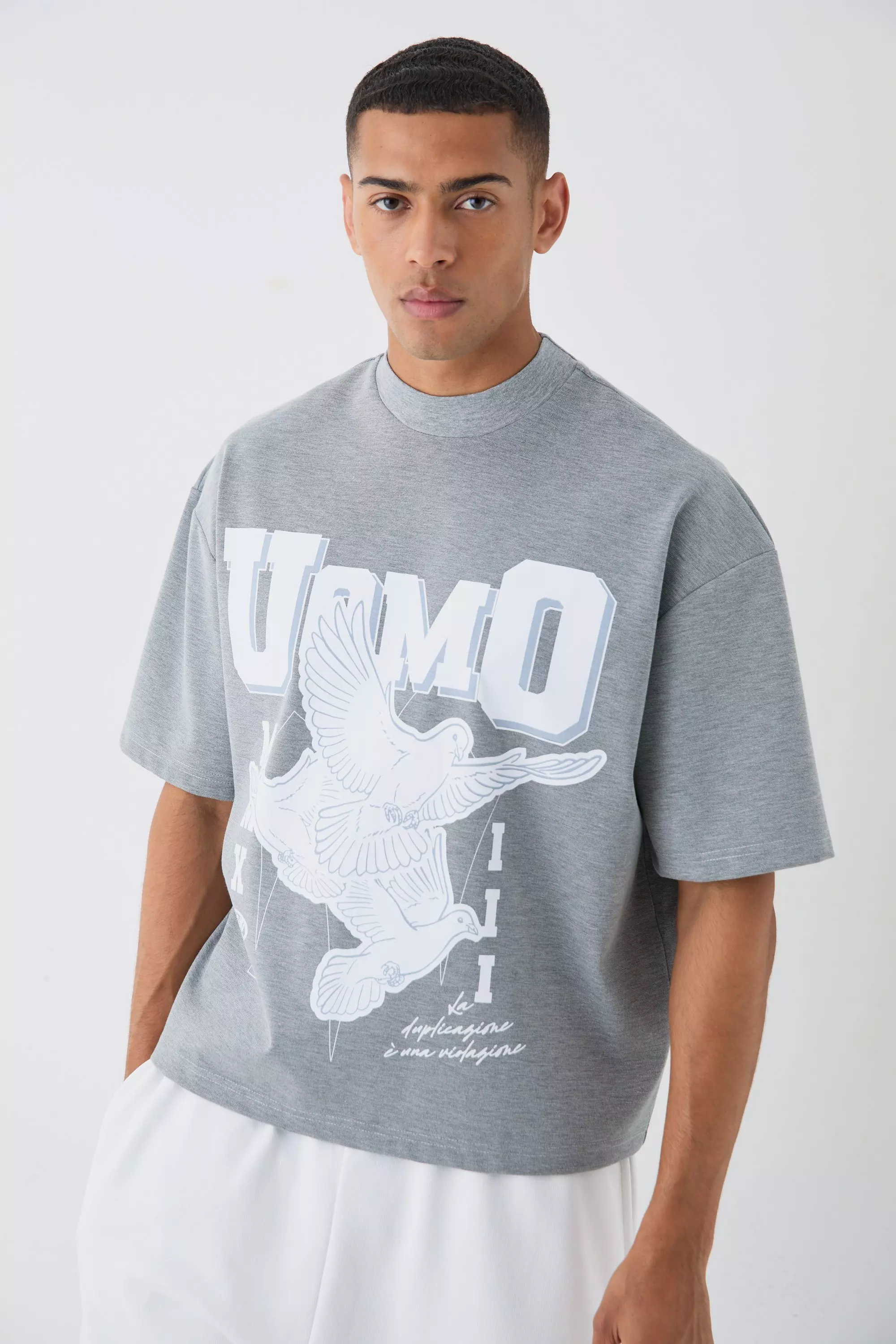 Light grey Oversized Dik Boxy Monochroom T-Shirt Met Print alternatieve afbeelding