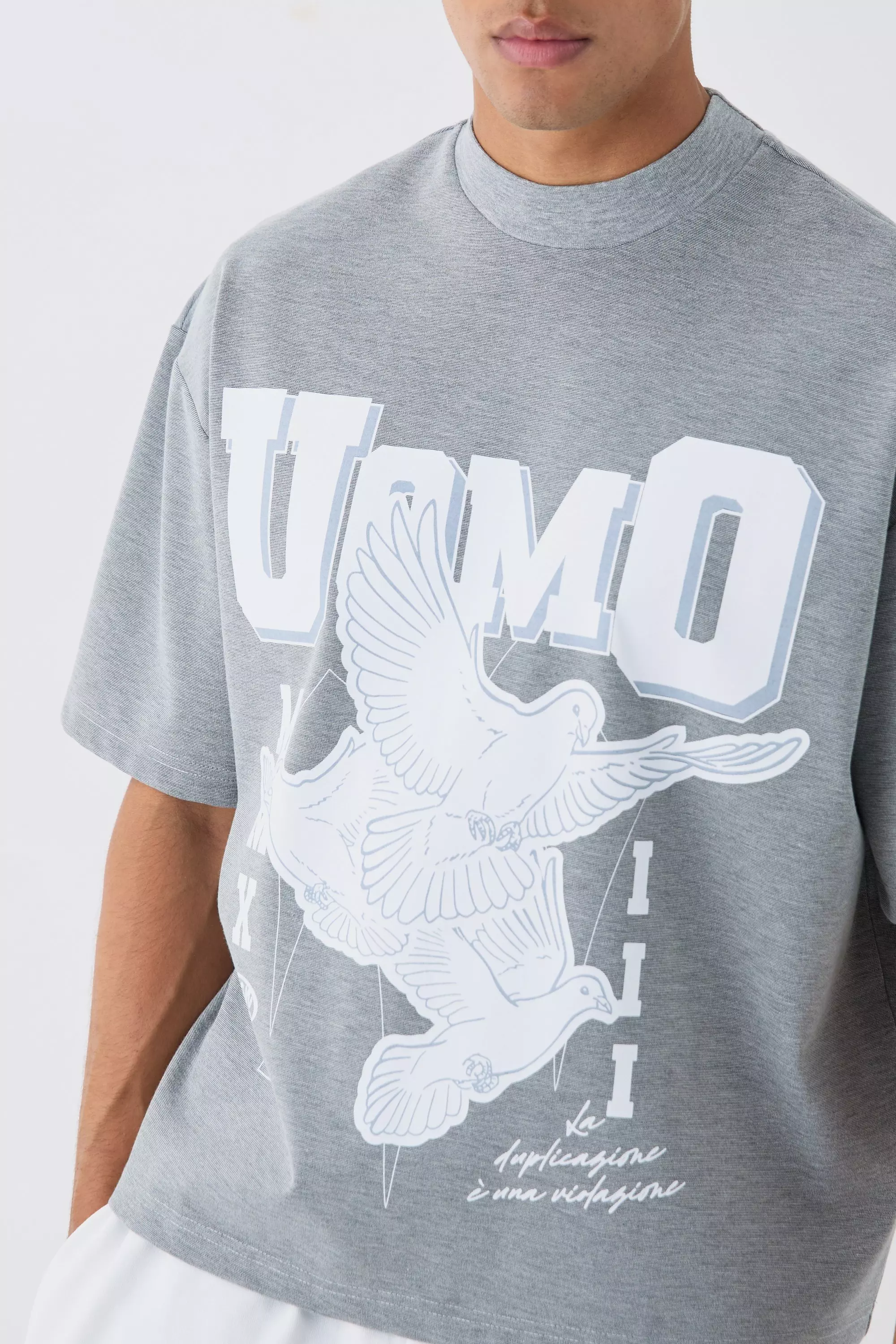 Light grey Oversized Dik Boxy Monochroom T-Shirt Met Print alternatieve afbeelding