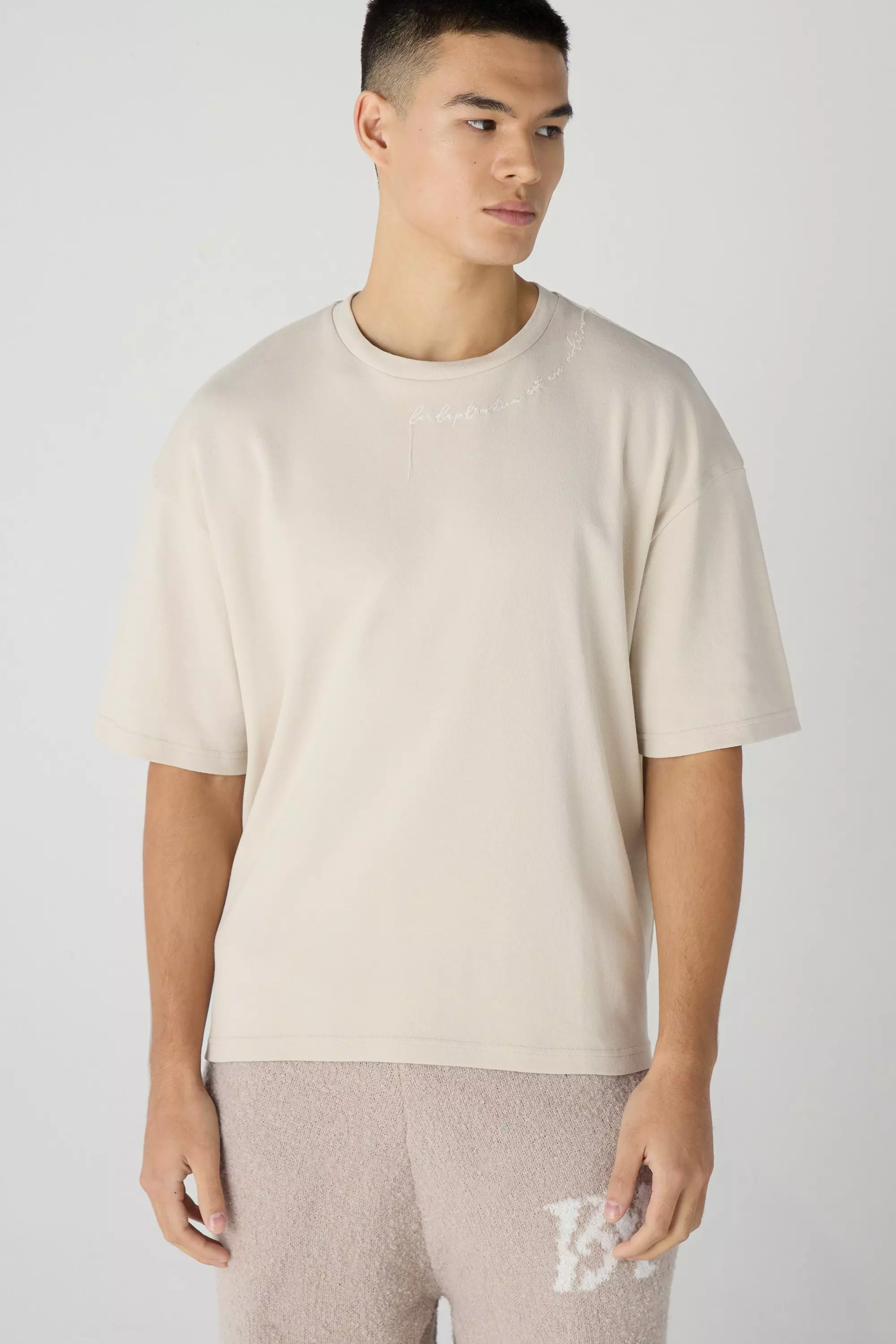 Stone Beige Oversized Boxy Embroidered Graphic T-shirt