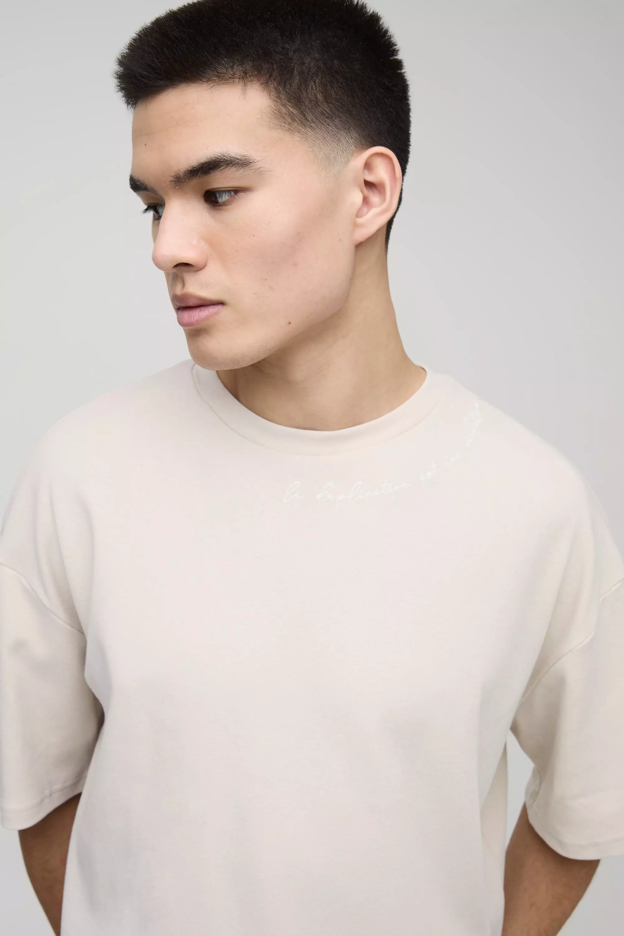 Stone Oversized Boxy Embroidered Graphic T-shirt alternative image