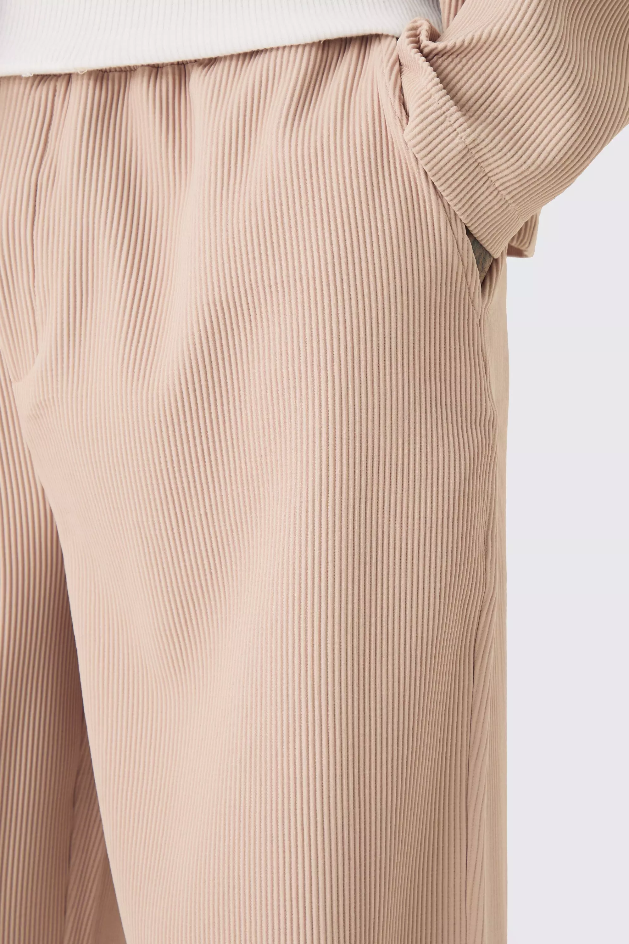 Taupe Tall Pleated Relaxed Fit Pants alternative image