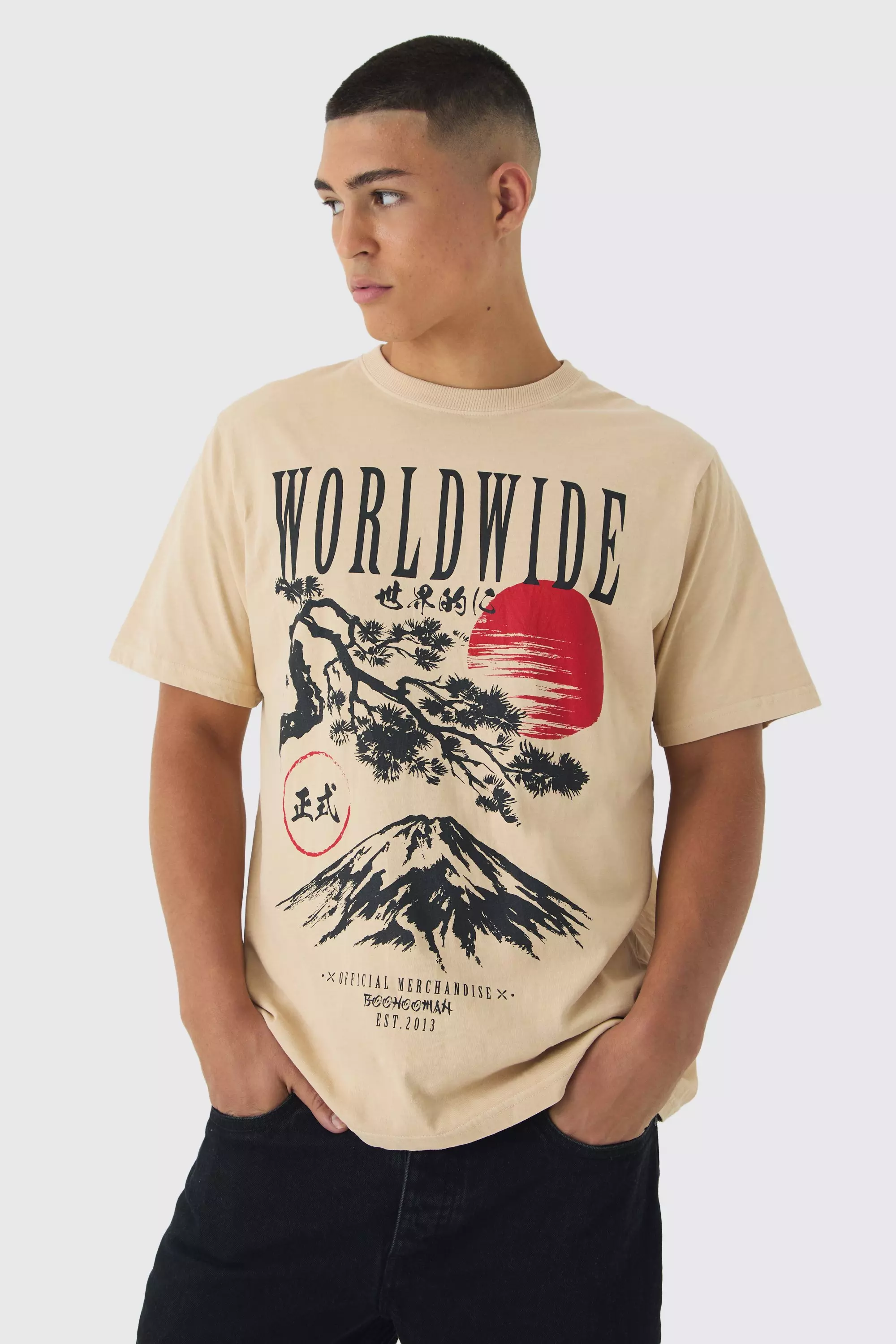 Washed Worldwide Mountain Print T-Shirt Ecru