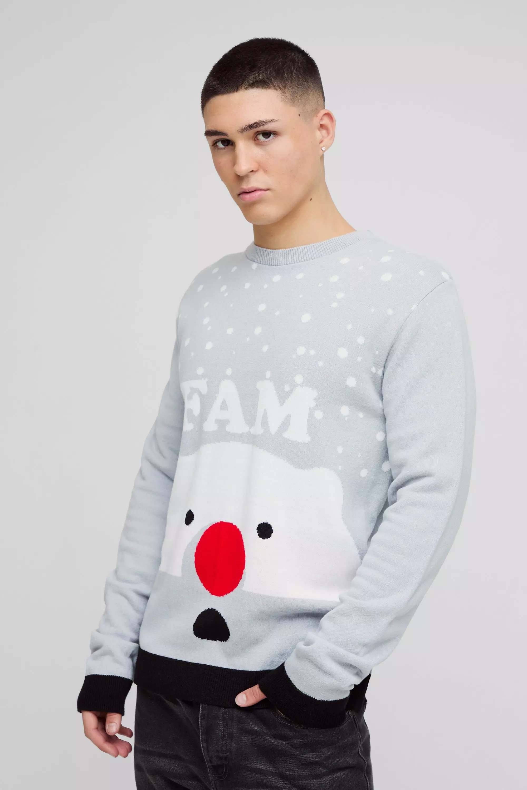 Stone Regular Fit Fam Christmas Jumper alternative image