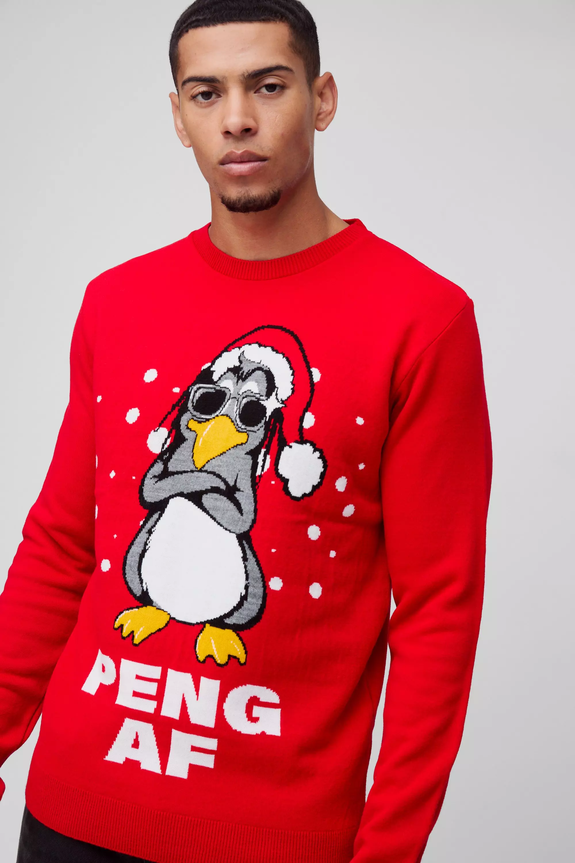 Red Regular Fit Peng Knitted Christmas Jumper alternative image