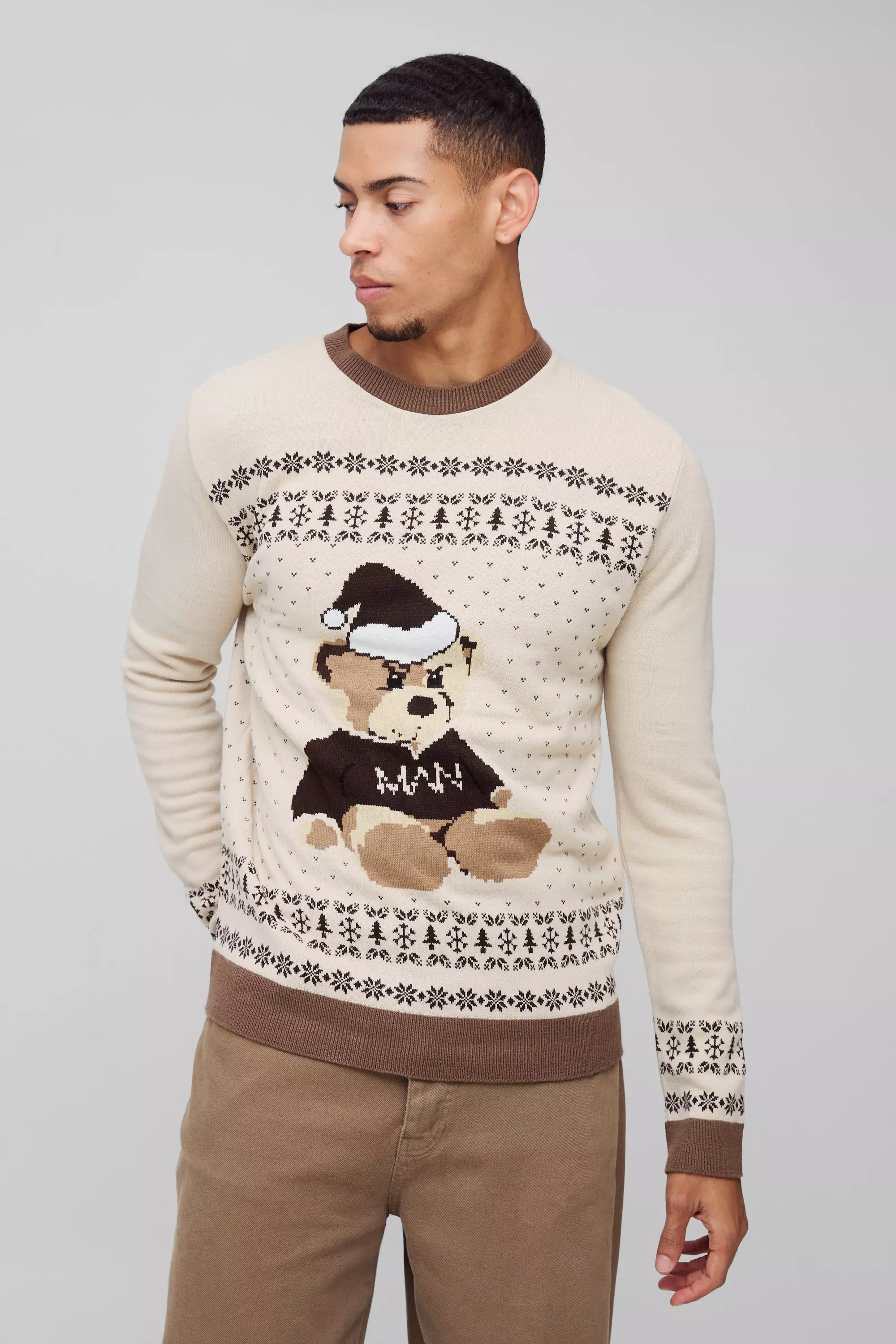 Taupe Regular Fit Fairisle Teddy Christmas Jumper alternative image