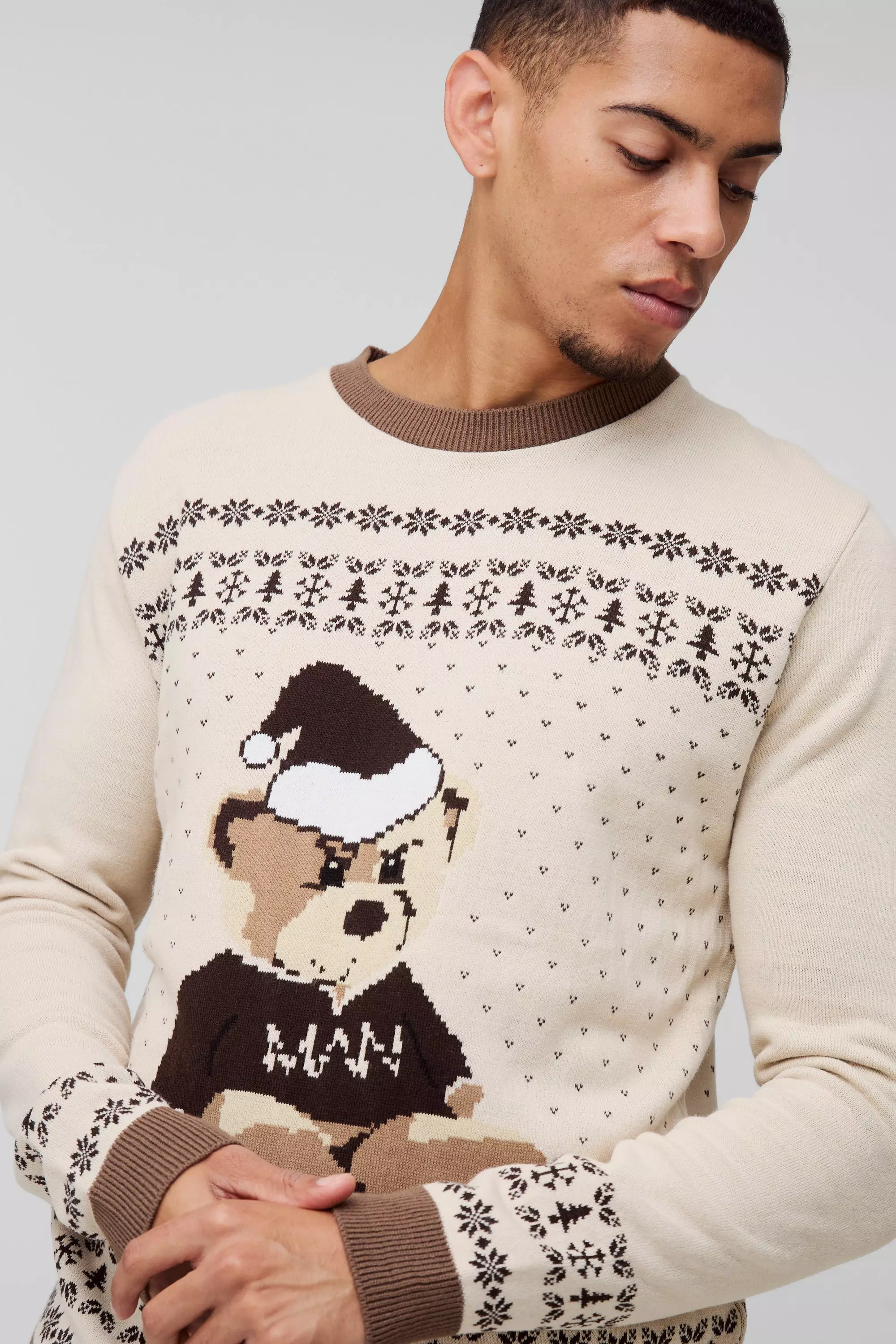Taupe Regular Fit Fairisle Teddy Christmas Jumper alternative image