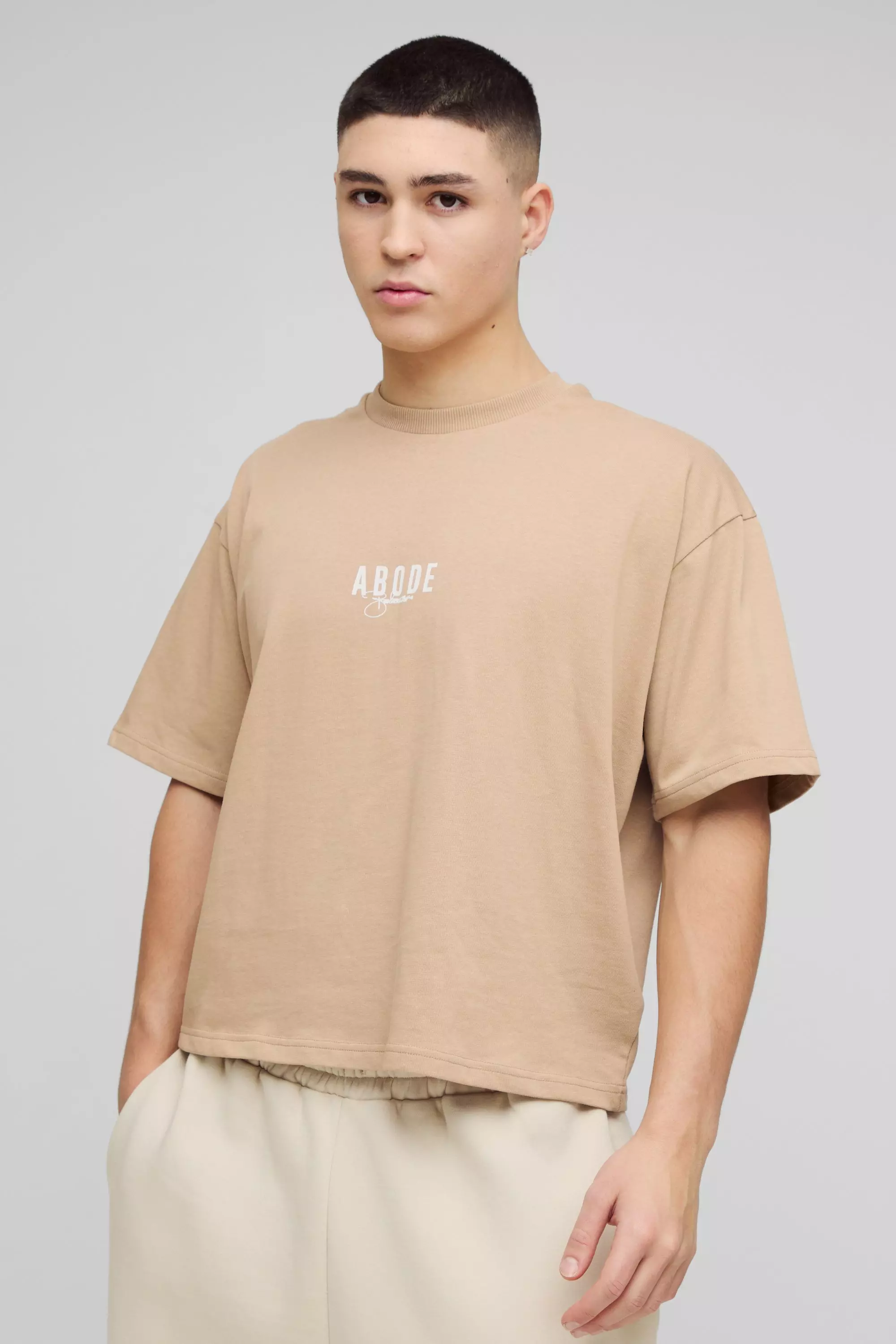 Taupe ABODE Heavyweight Oversized Boxy Print T-Shirt alternative image