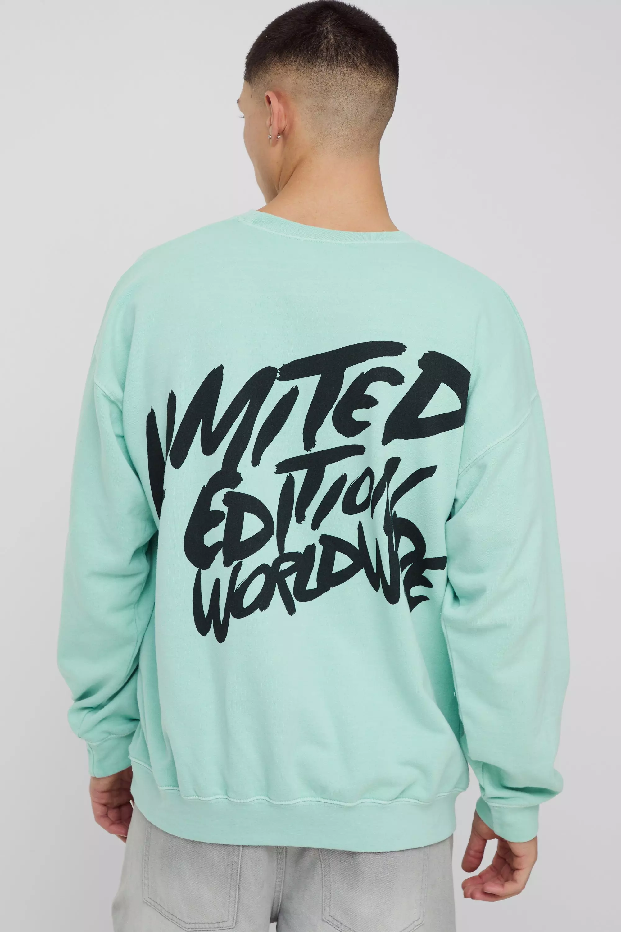 Oversize Limited Edition Sweatshirt, Sage alternatives Bild