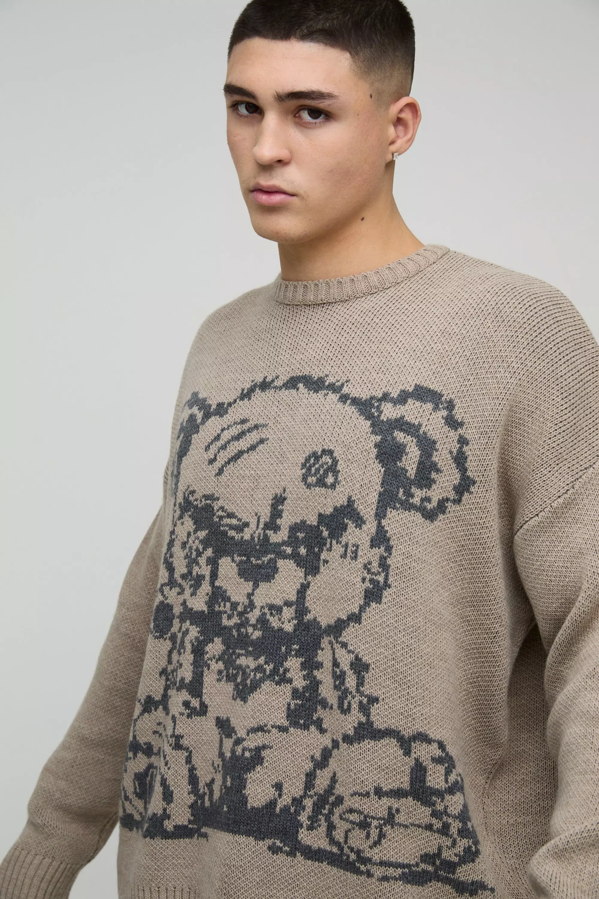 Oversize Pullover mit Teddy-Print, Stone alternatives Bild