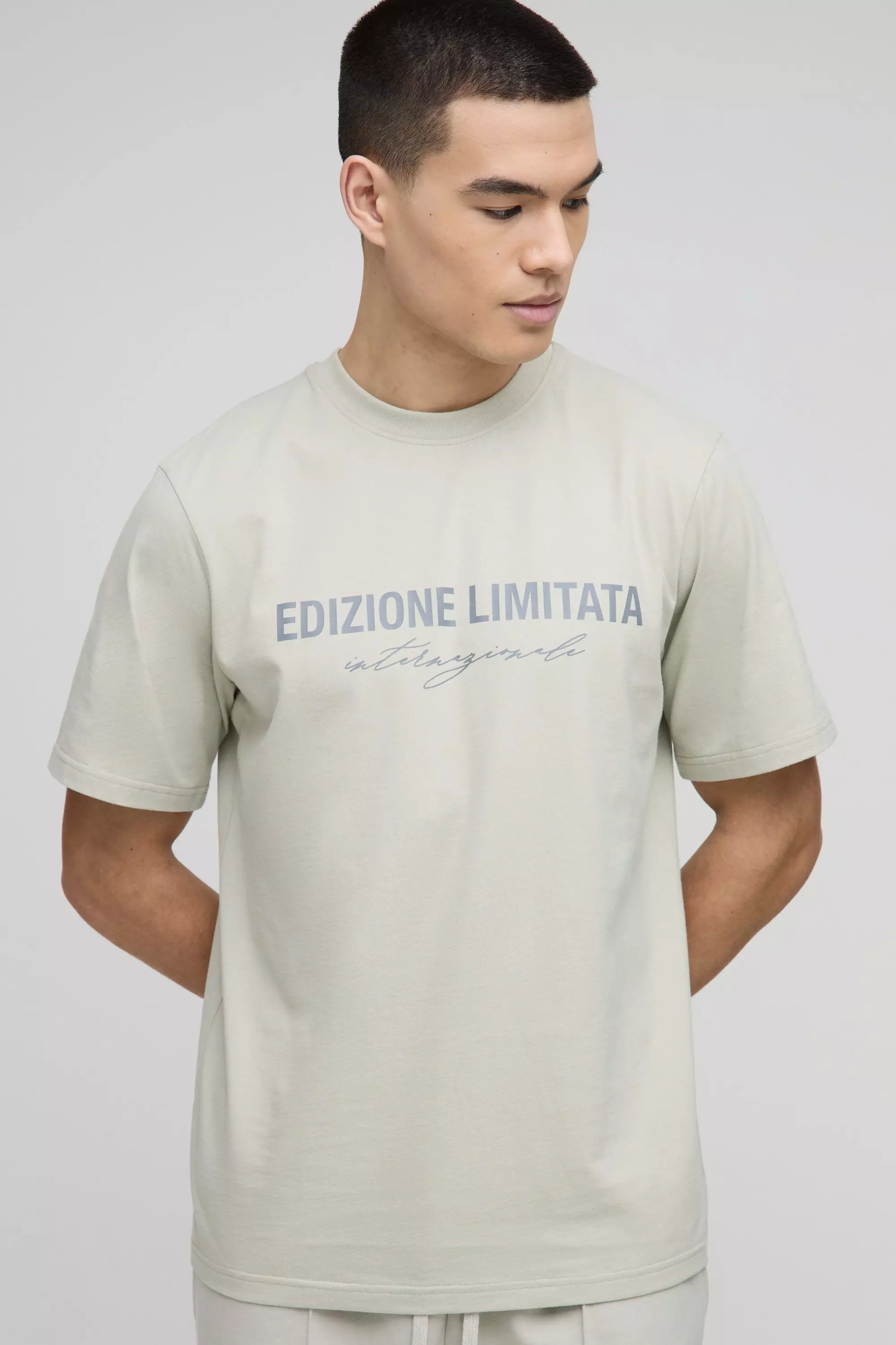 Grey Regular Fit Edizione Limitata Heavyweight T-Shirt alternative image