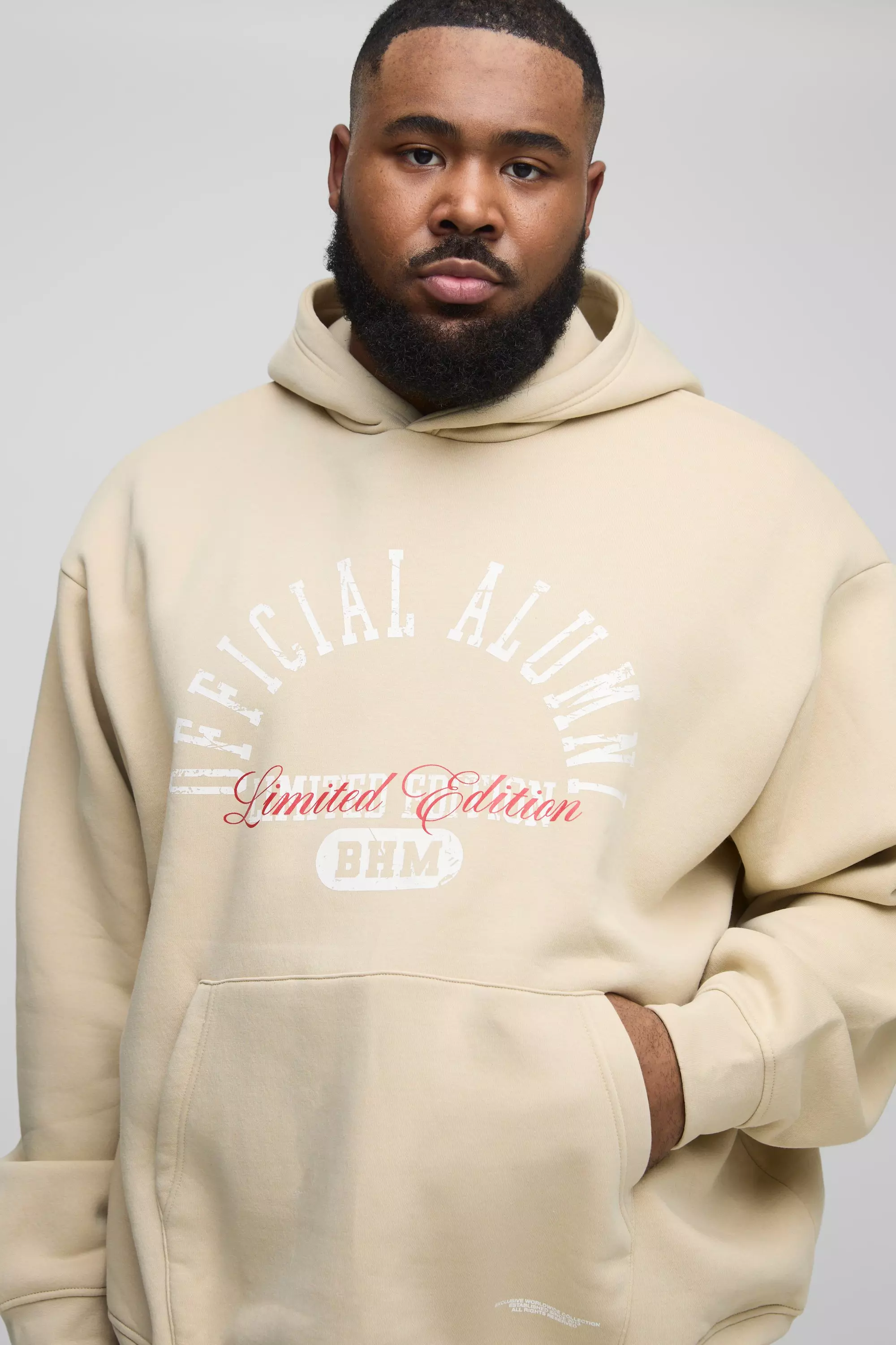 Sand 330GSM Plus Oversized Official Printed Hooded alternative image