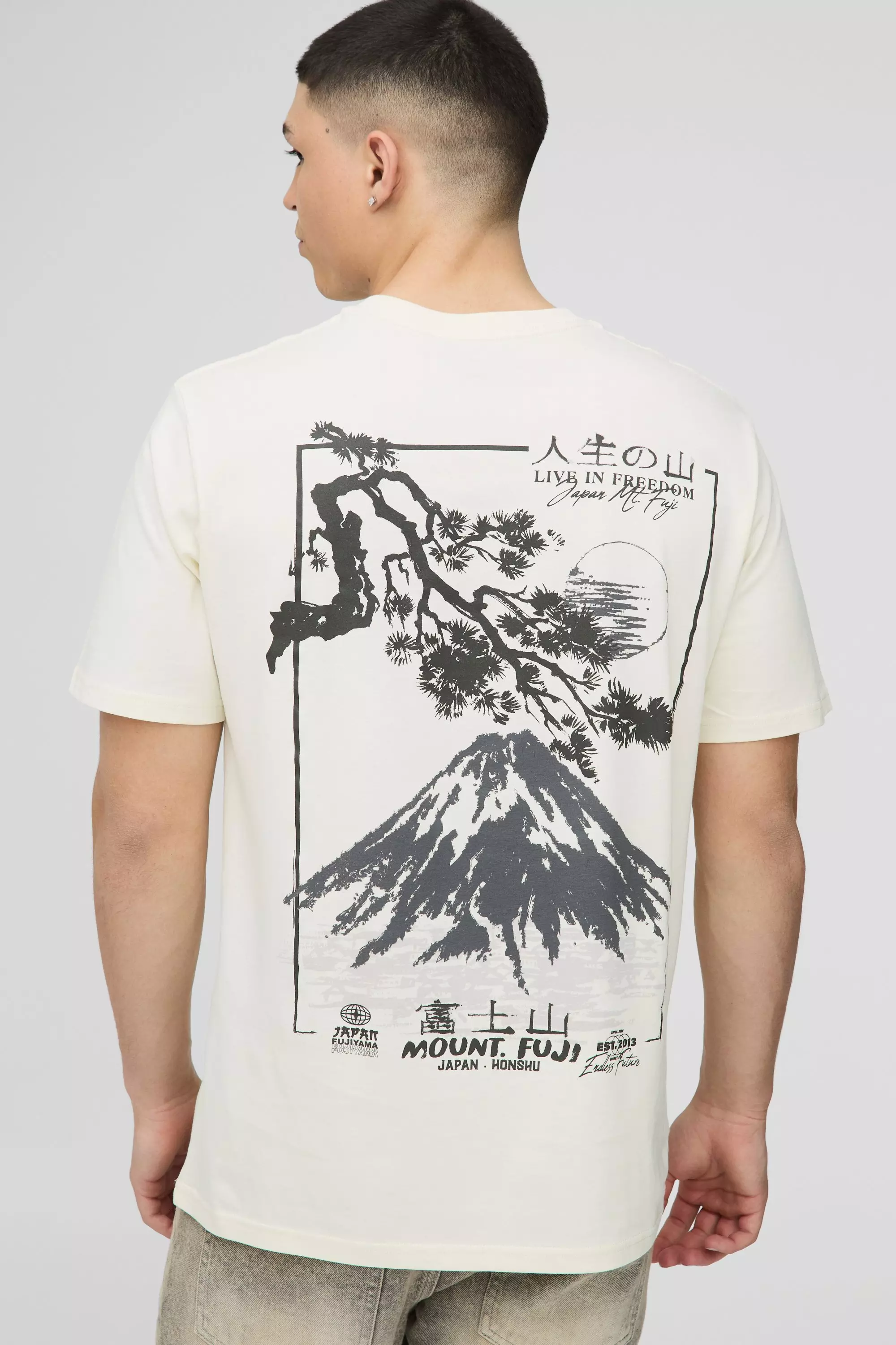 Ecru Regular Fit Mountain Graphic T-Shirt alternative image