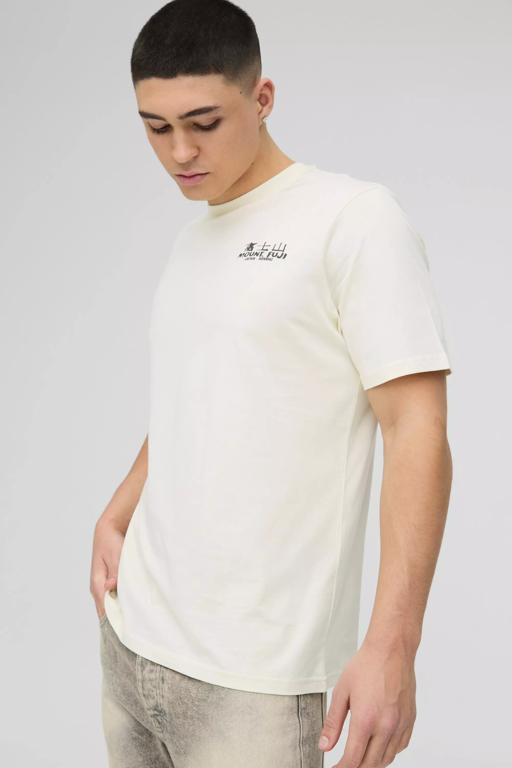 Ecru Regular Fit Mountain Graphic T-Shirt alternative image