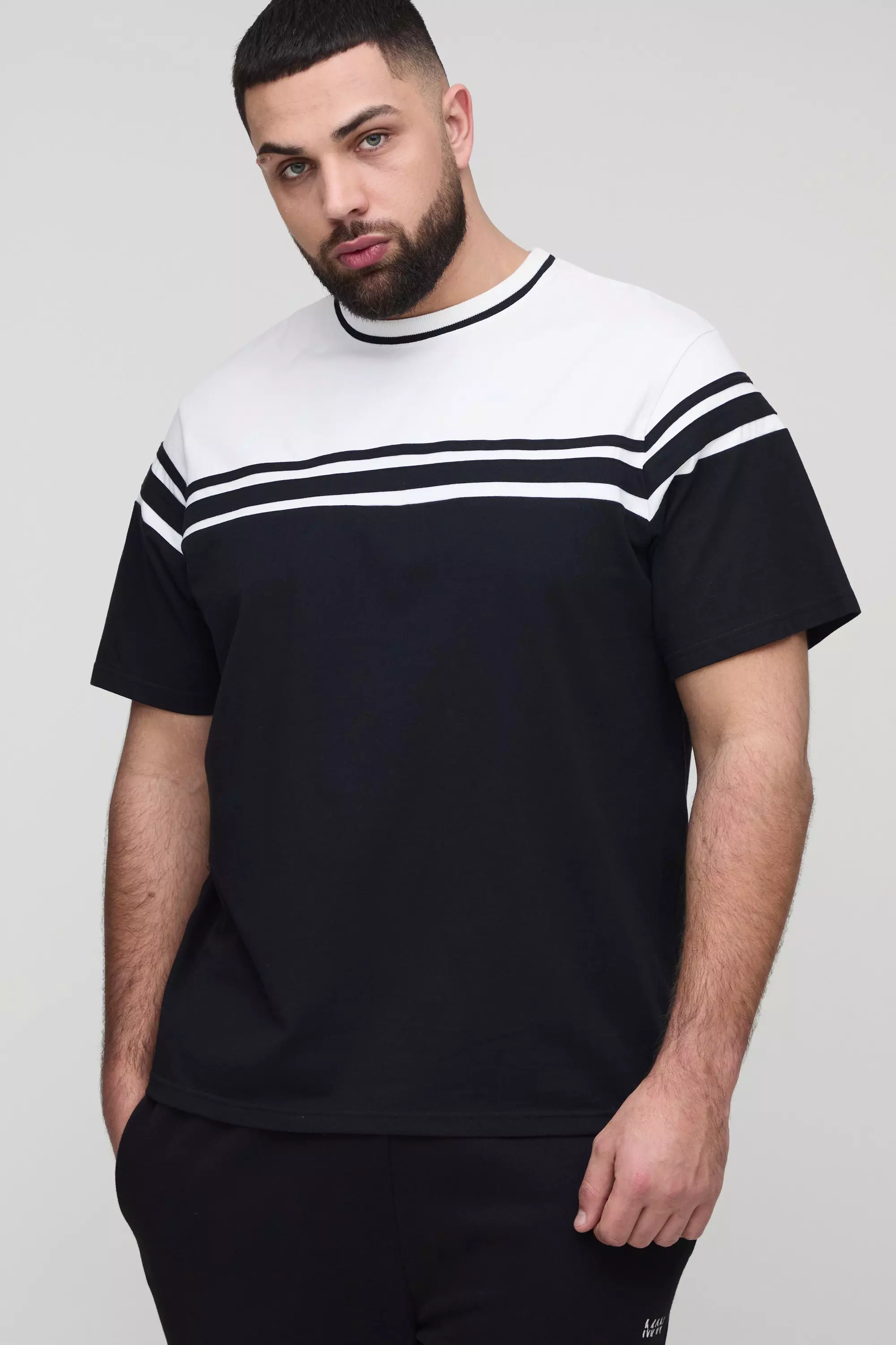 Black Plus Regular Fit Colour Block T-Shirt alternative image