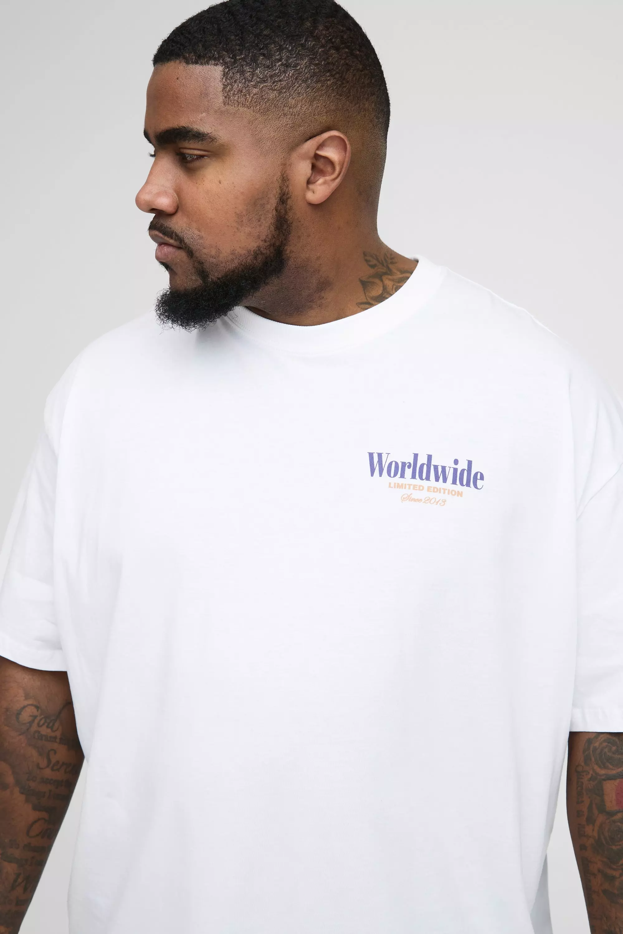 White Plus Oversized Worldwide Landscape Print T-Shirt alternative image