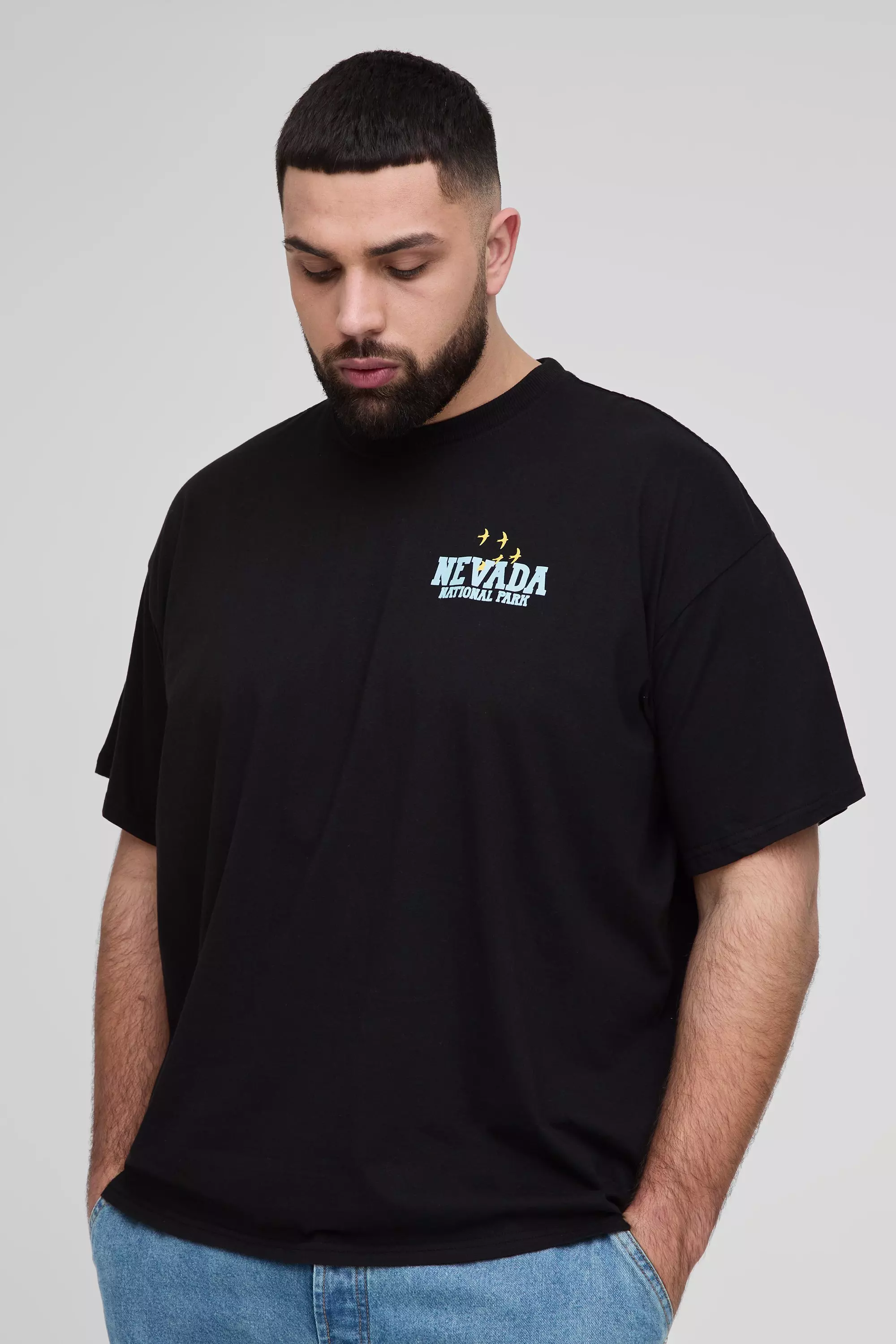 Black Plus Oversized National Park Print T-Shirt alternative image
