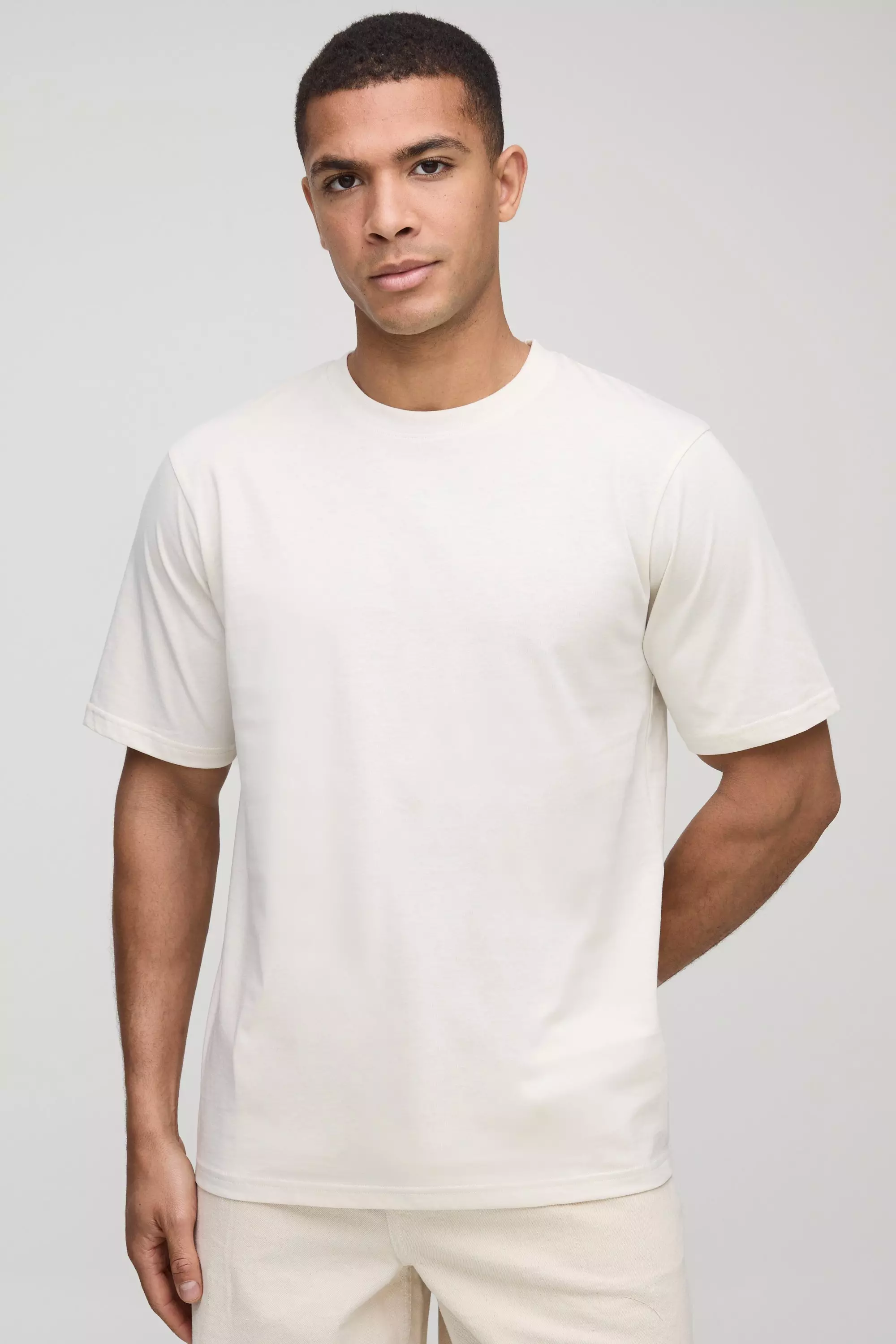 Beige Regular Fit Basic Crew Neck T-shirt alternative image