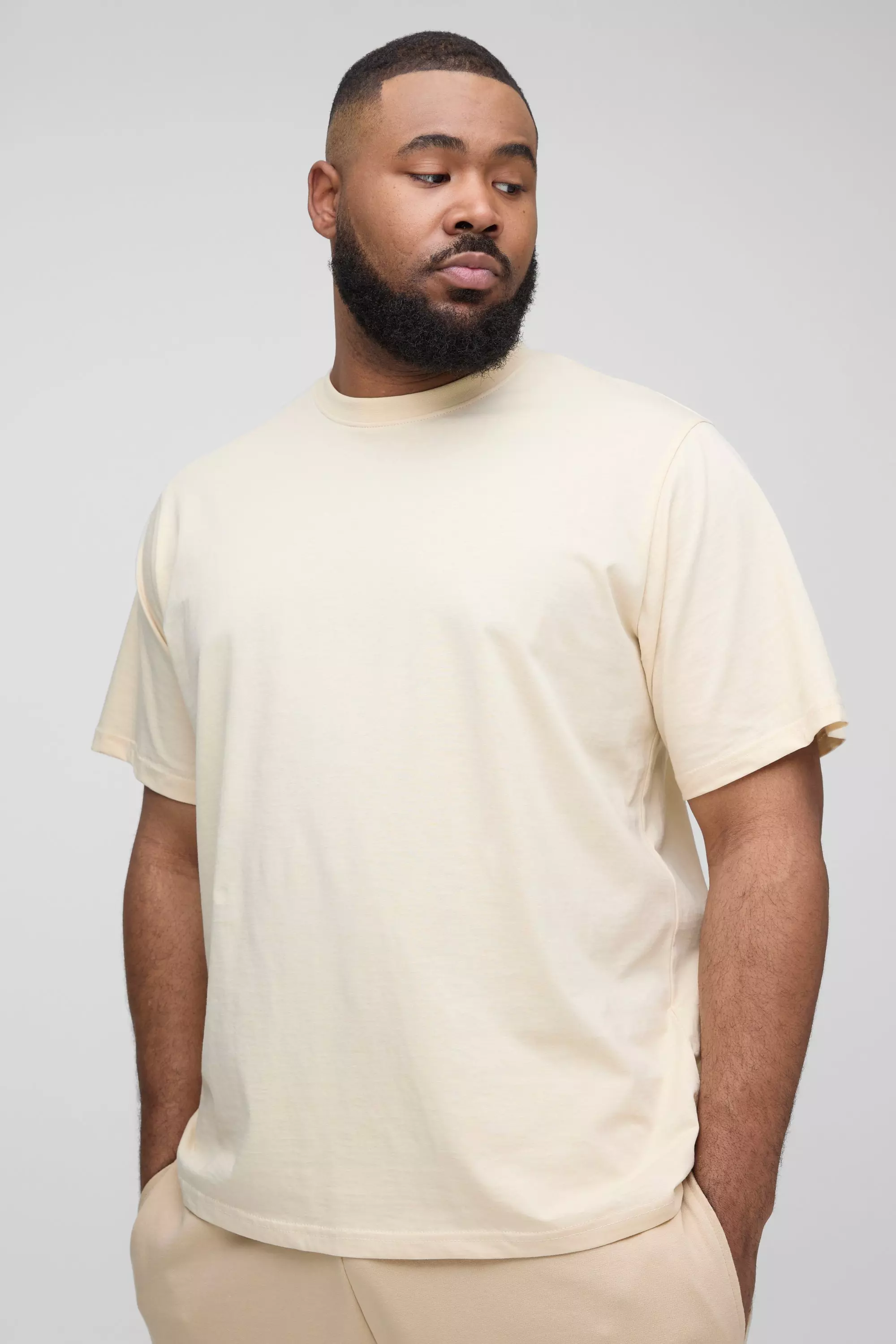 Taupe Plus Basic Regular Fit Crew Neck T-Shirt alternative image
