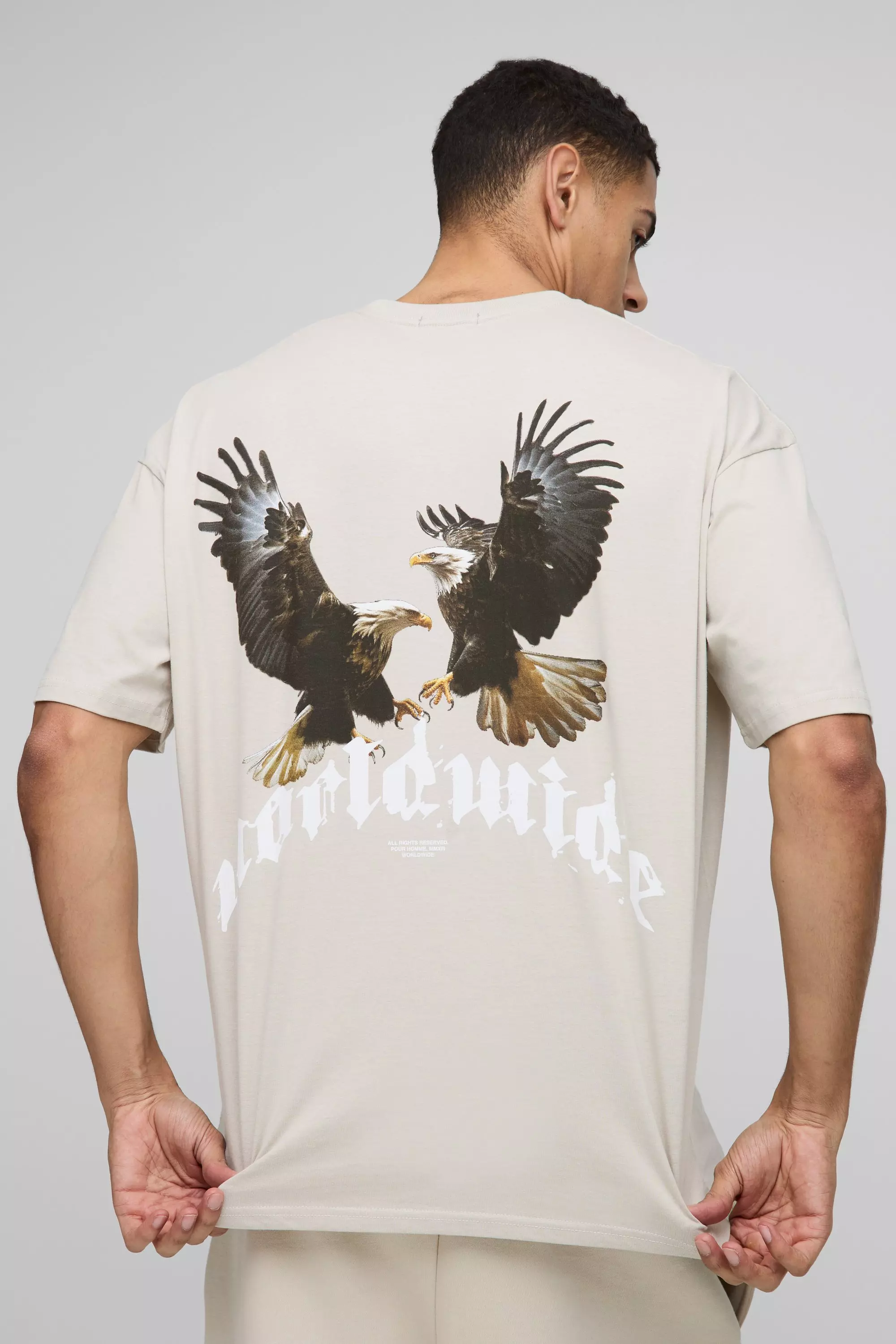 T-shirt oversize imprimé aigle, Stone autre image