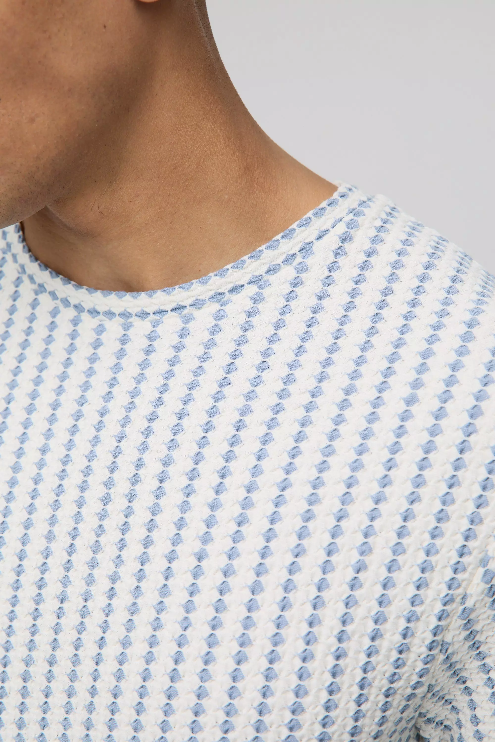 Dusty blue Regular Fit Textured Stripe T-Shirt alternative image