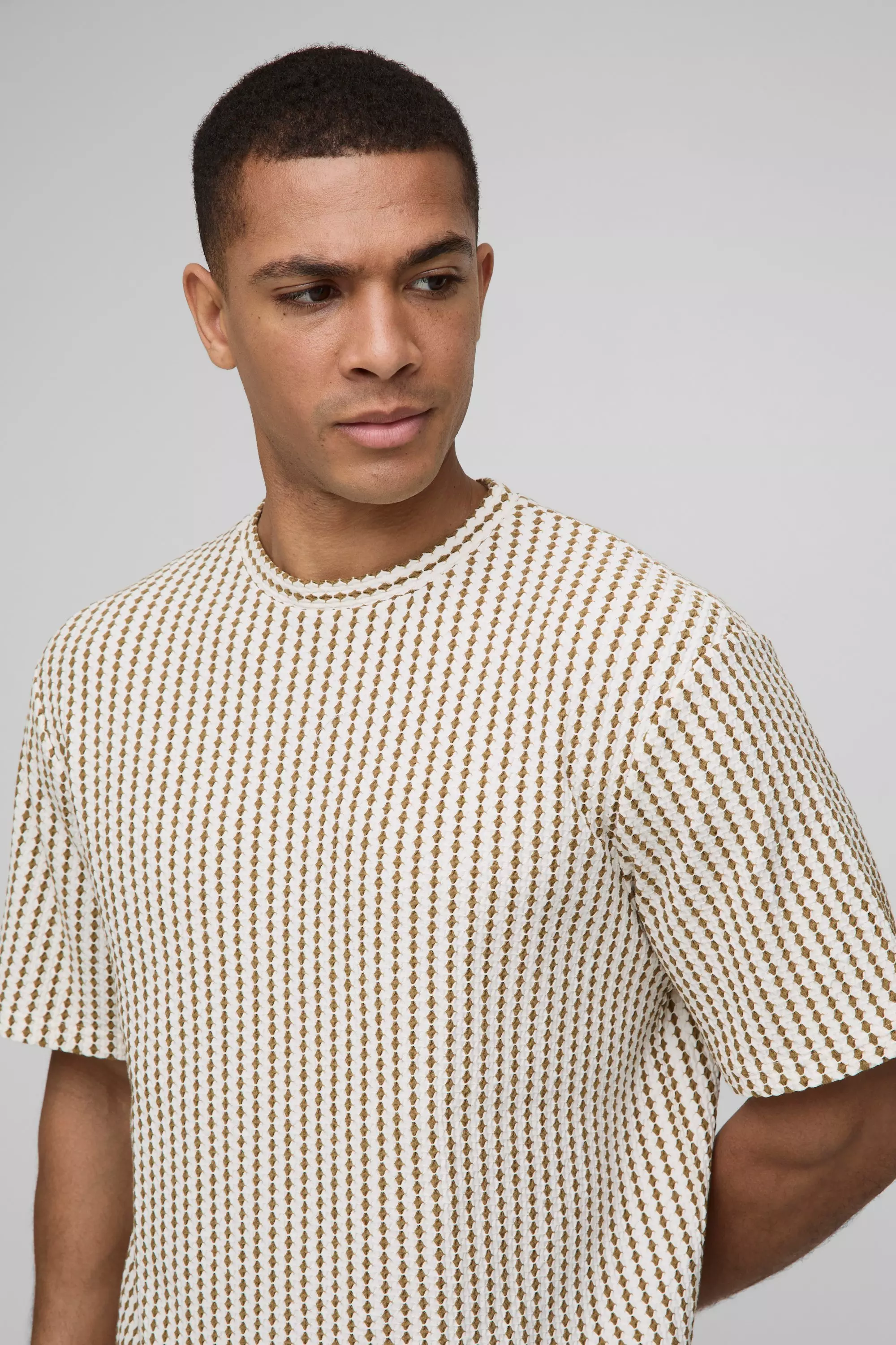 Camel Regular Fit Textured Stripe T-Shirt alternative image