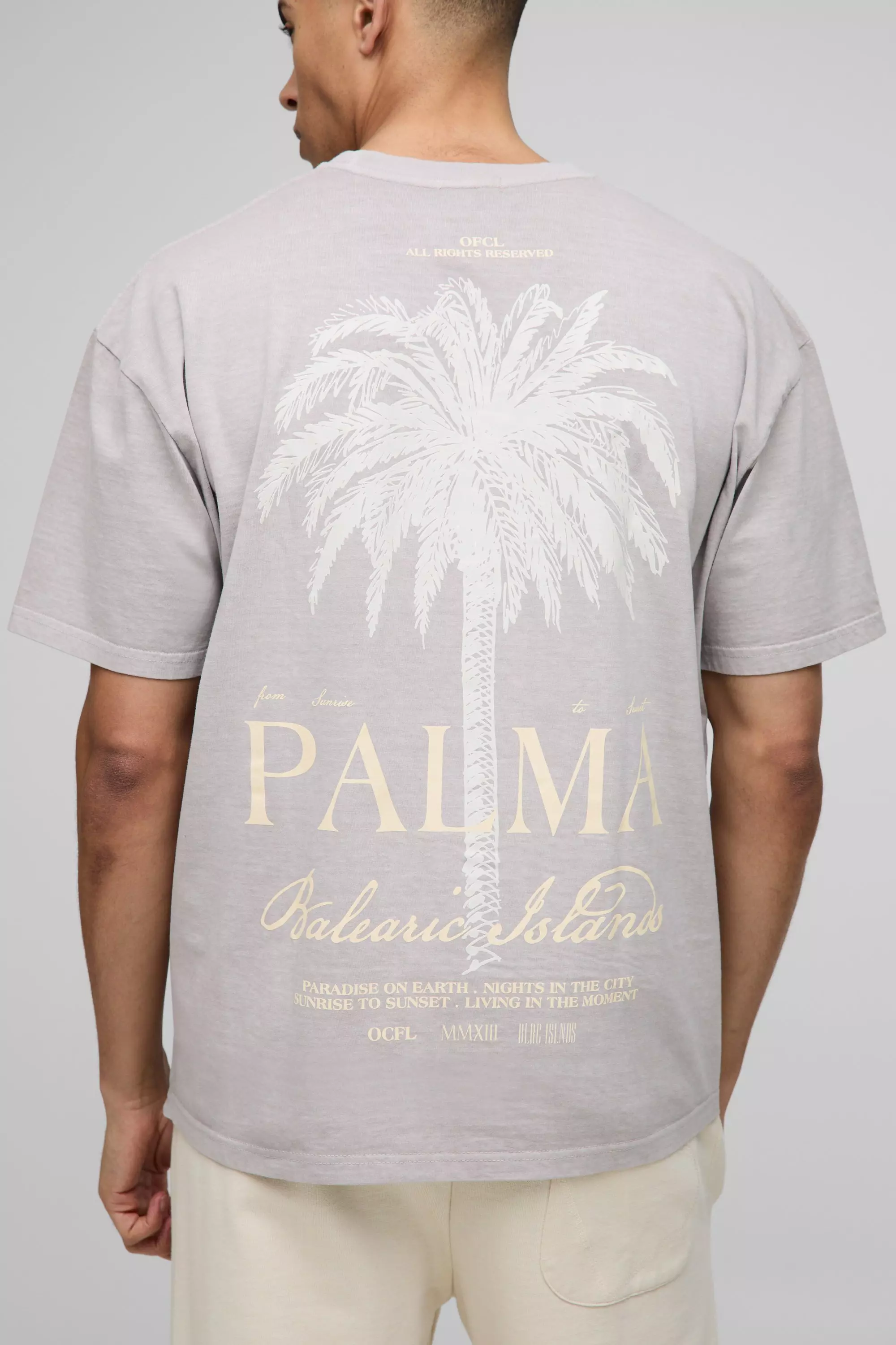 Taupe Oversized Palma Palm Tree Washed Printed T-shirt alternative image
