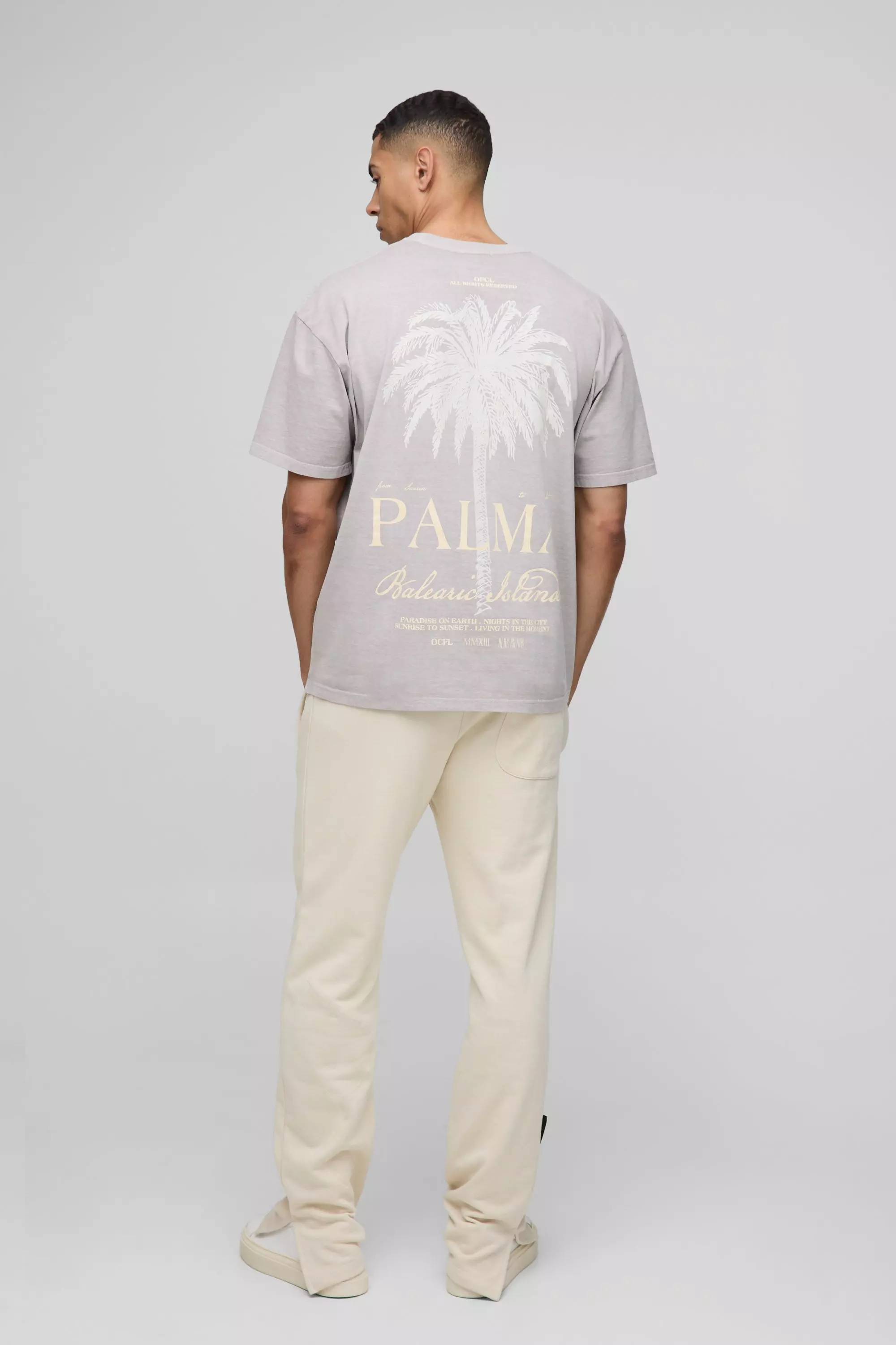 Taupe Oversized Palma Palm Tree Washed Printed T-shirt alternative image