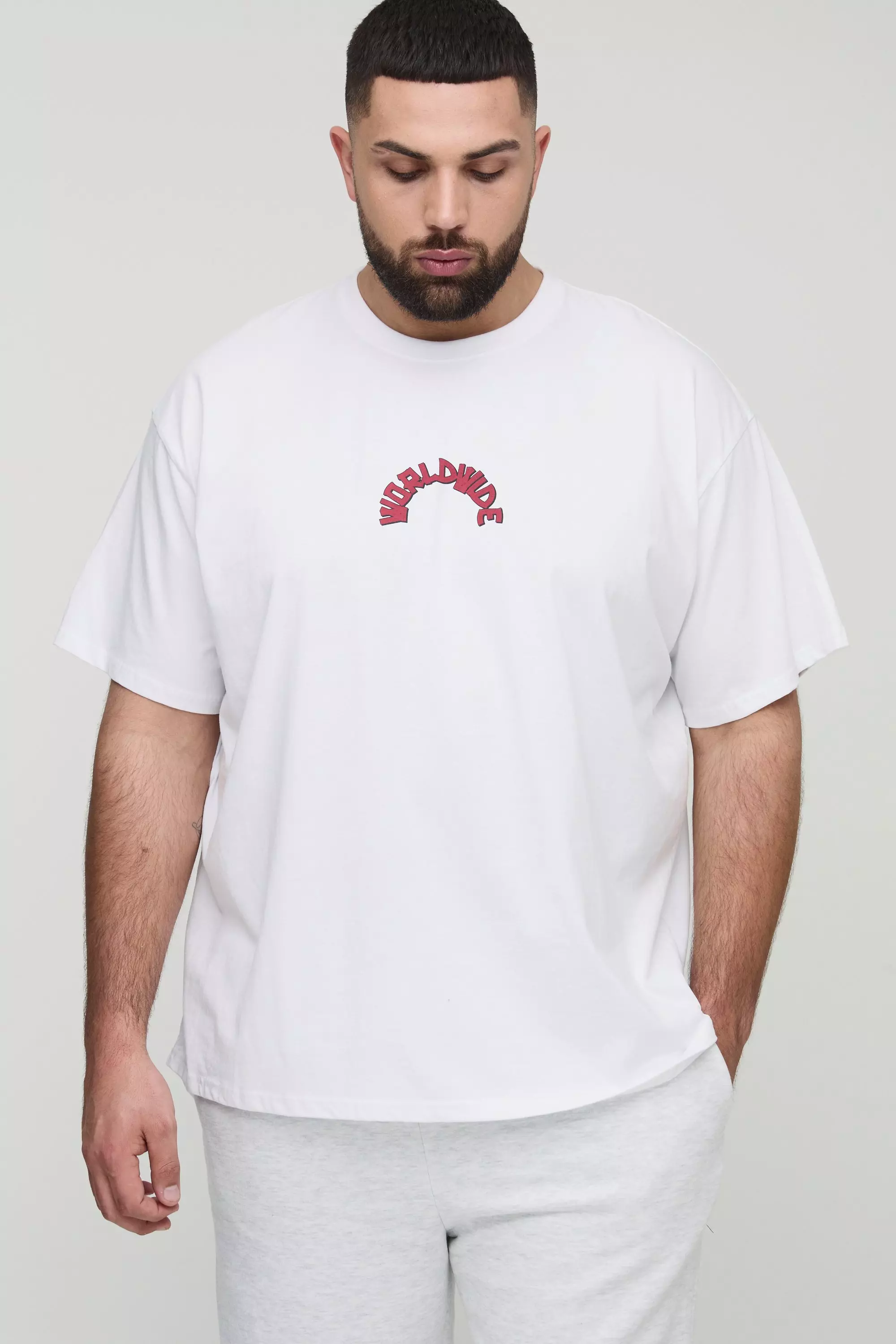 Plus Oversized Worldwide Tiger Print T-Shirt | boohooMAN USA