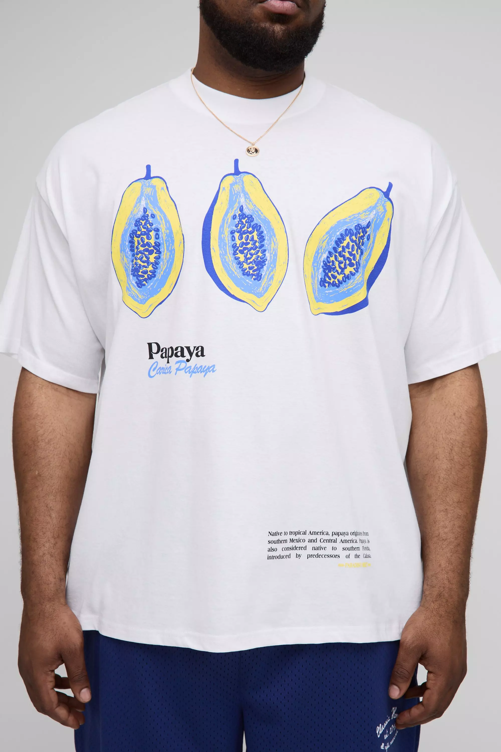 Plus Oversized Papaya Printed T-Shirt White