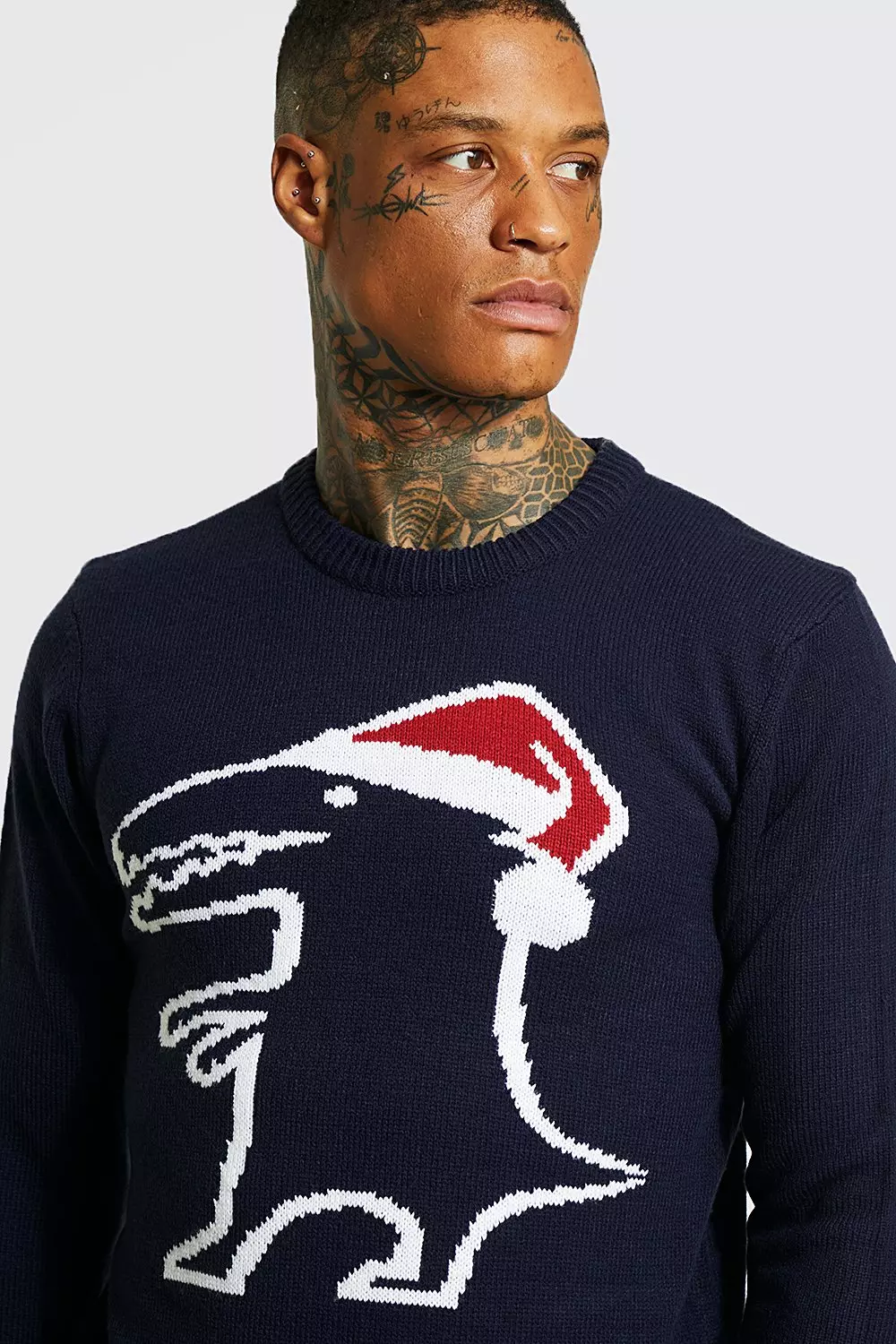 Navy Dino Christmas Jumper alternative image