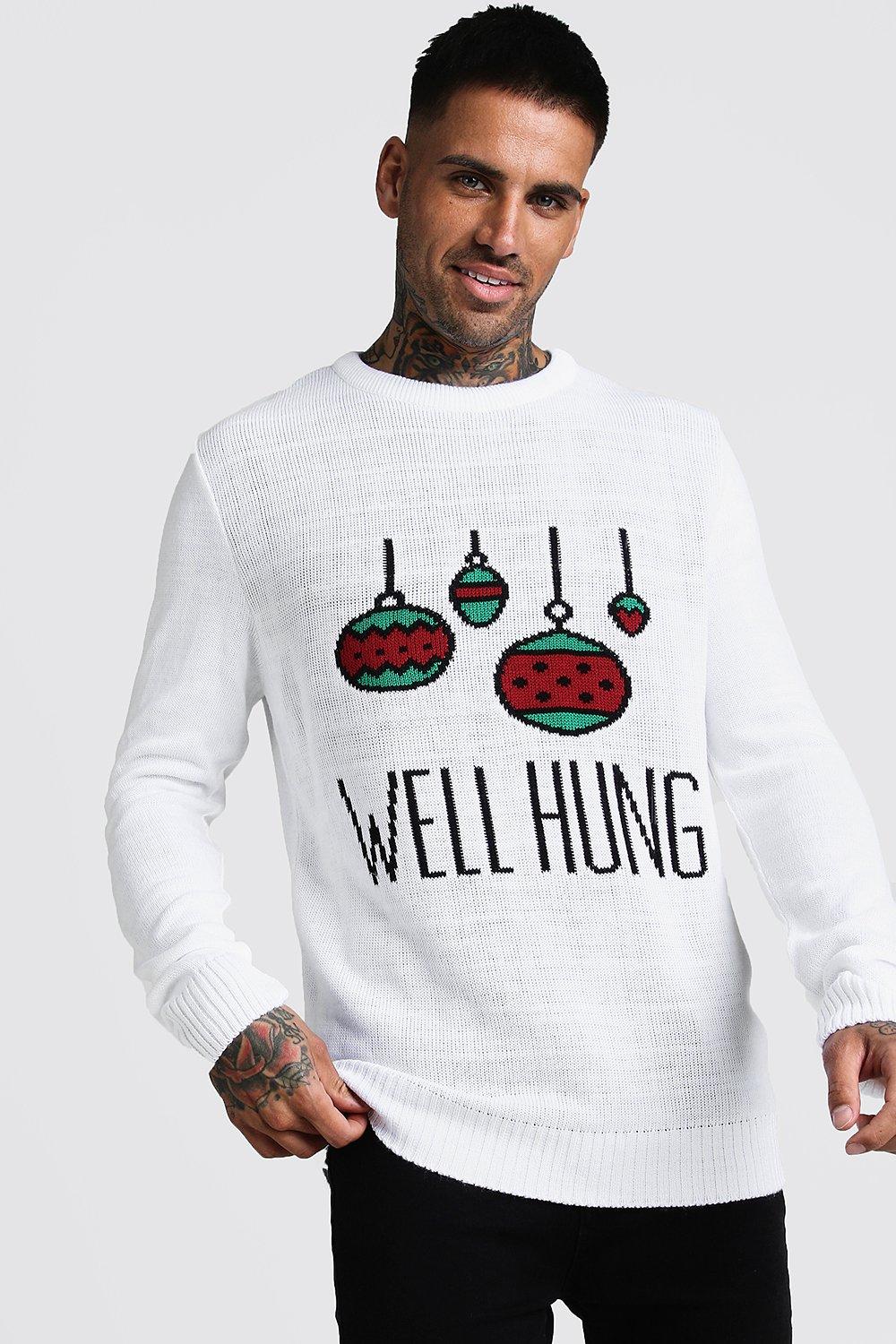 Well Hung Christmas Sweater | boohooMAN