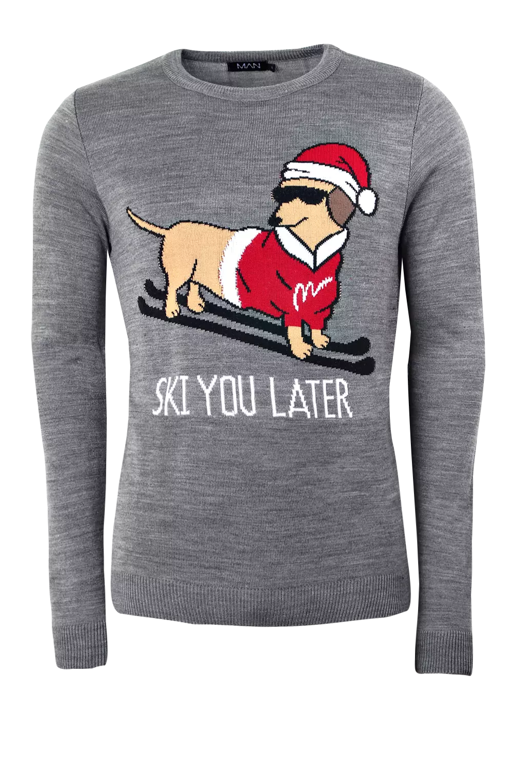 Ski Dachshund Christmas Jumper boohooMAN UK