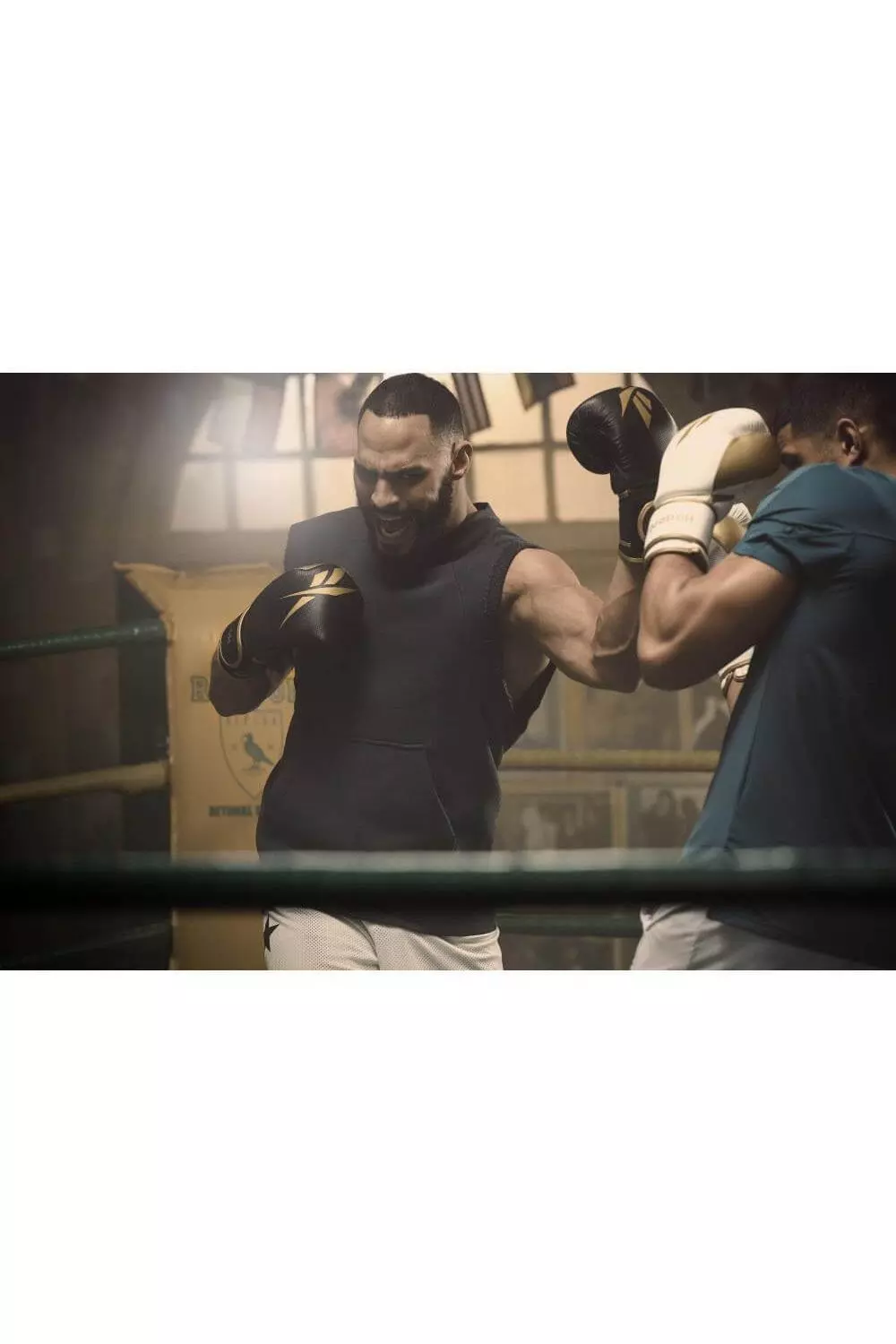 Boxing Gloves - Black and Gold alternative image