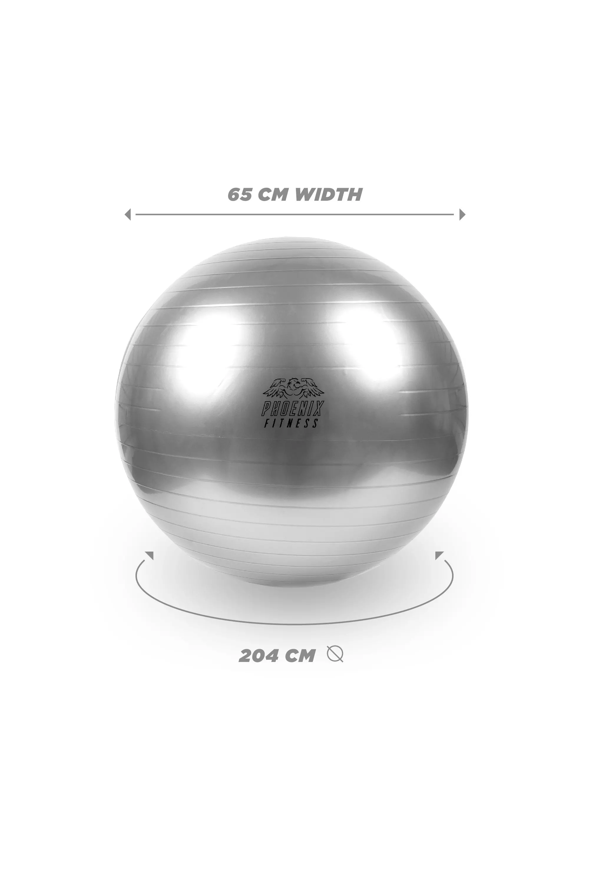 Silver Fit Ball With Pump alternative image