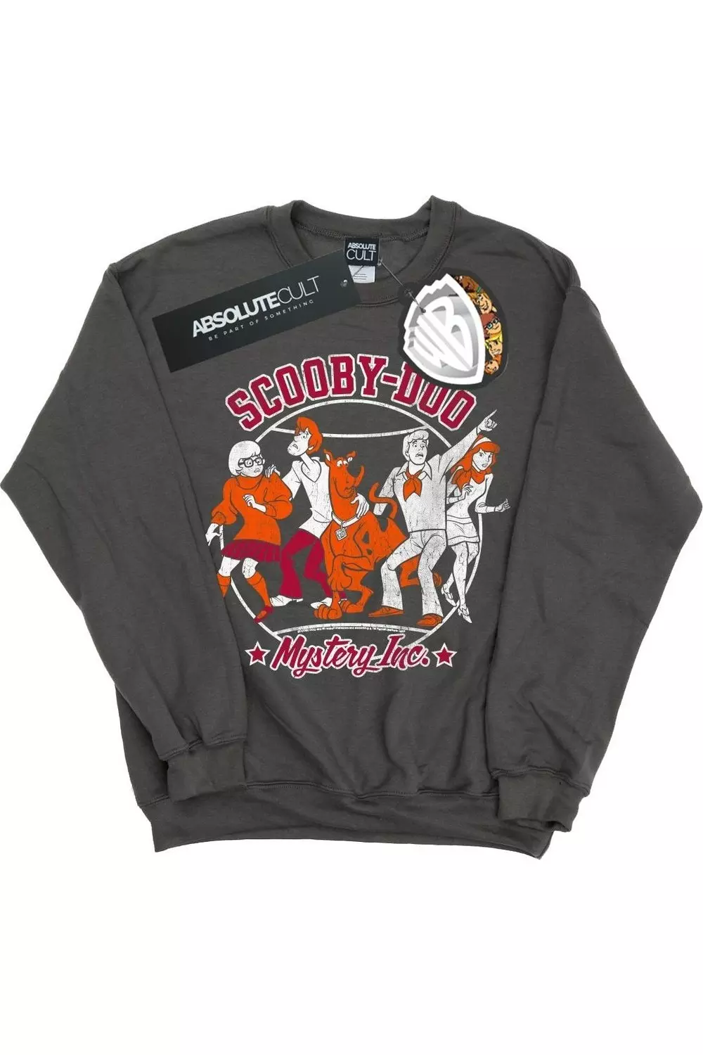 Charcoal Collegiate Circle Sweatshirt alternative image