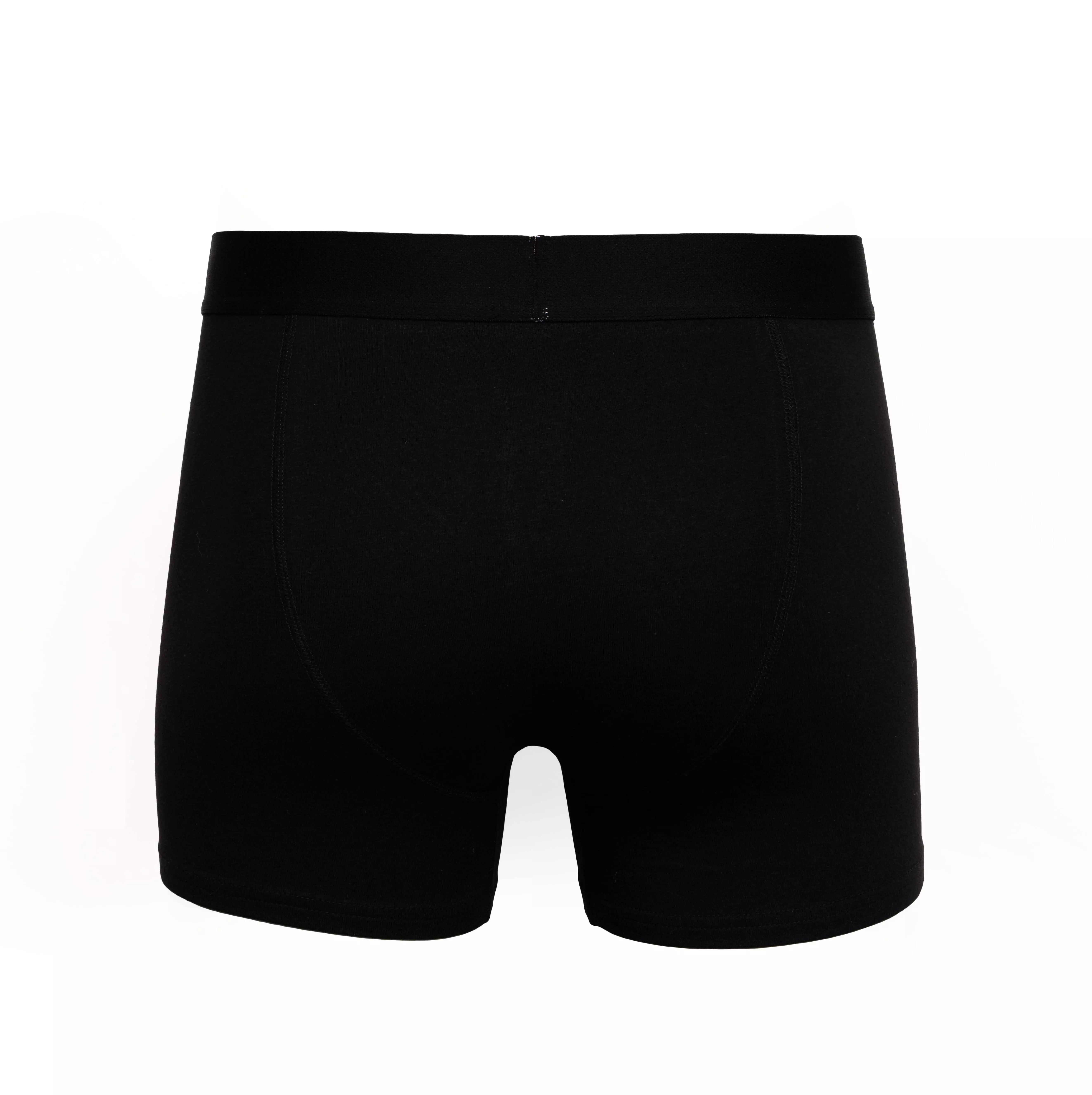 Multi Salton Boxers 2pk alternative image