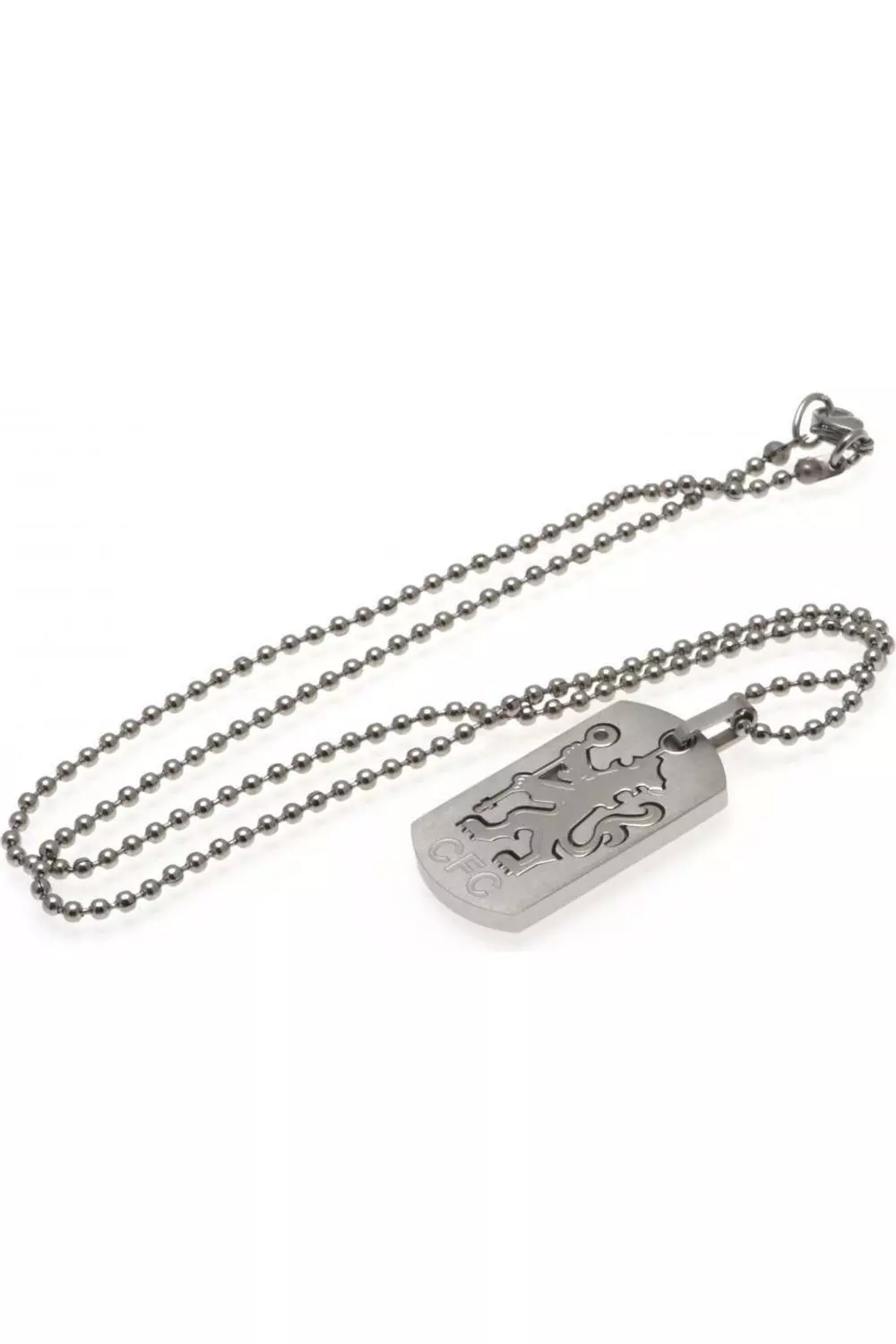 Silver Dog Tag And Chain alternative image