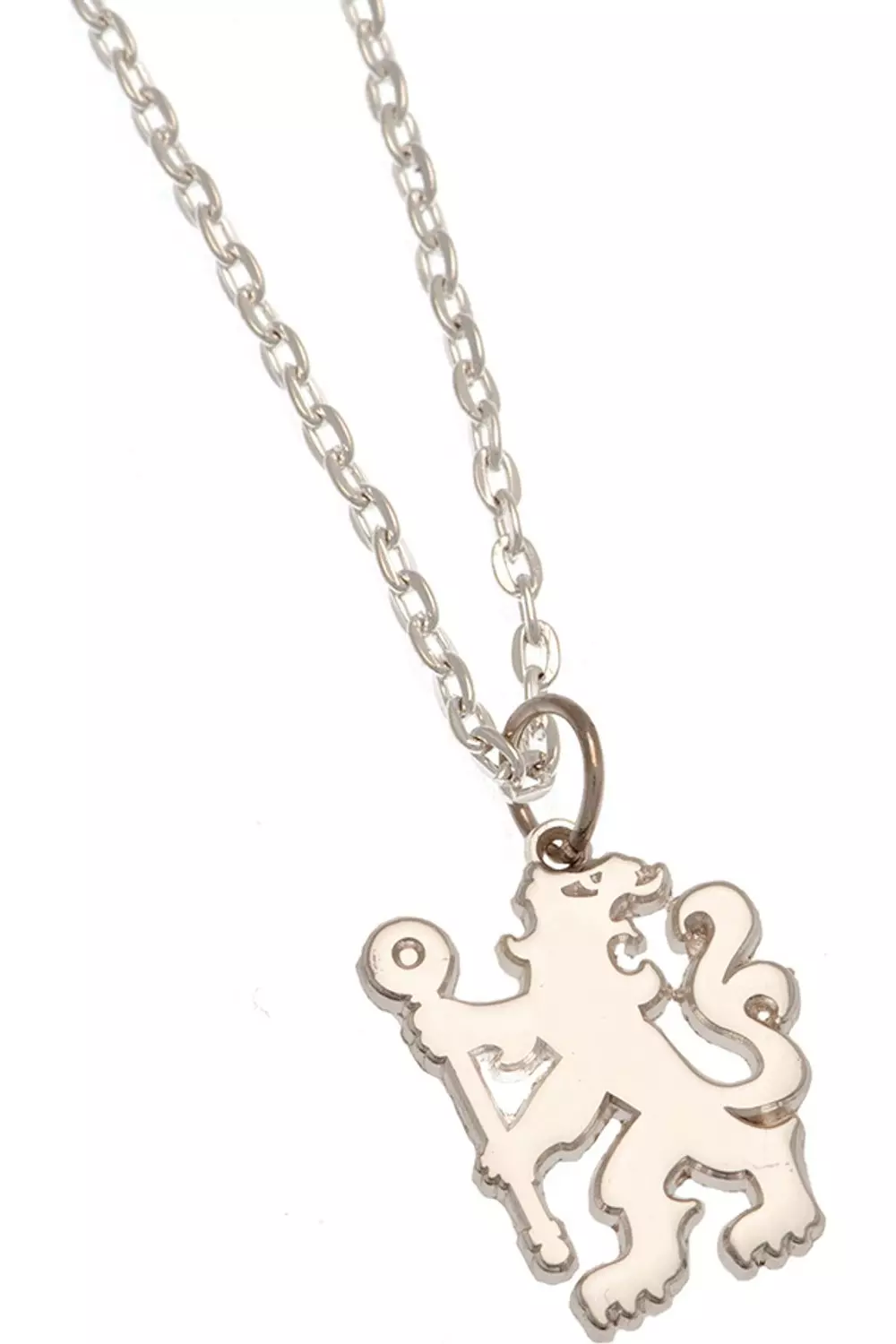 Silver Crest Necklace & Pendant alternative image