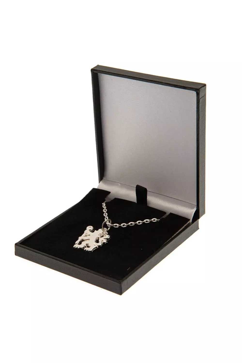 Silver Crest Necklace & Pendant alternative image