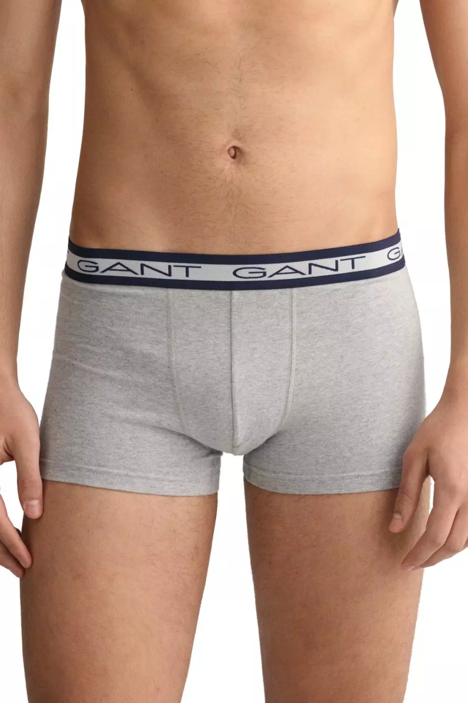 Grey Men's 3 Pack Trunk alternative image