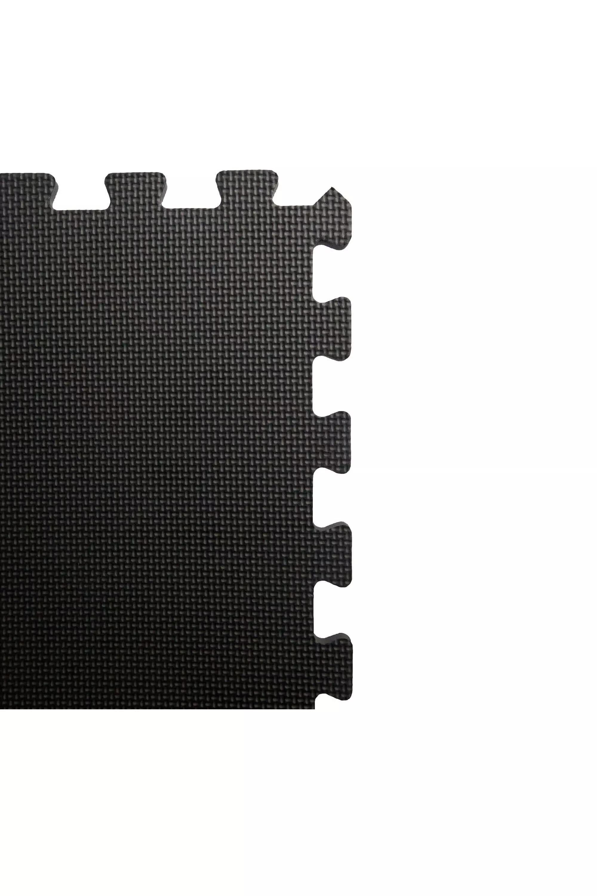 Black Floor Guards alternative image