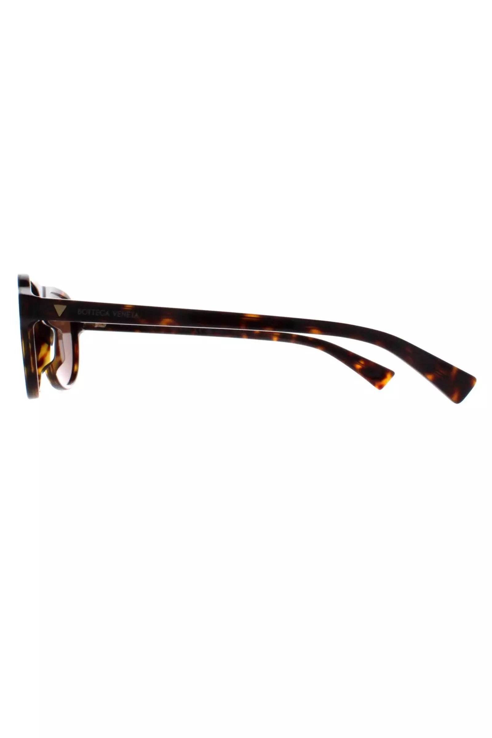 Aviator Havana Brown BV1292S alternative image