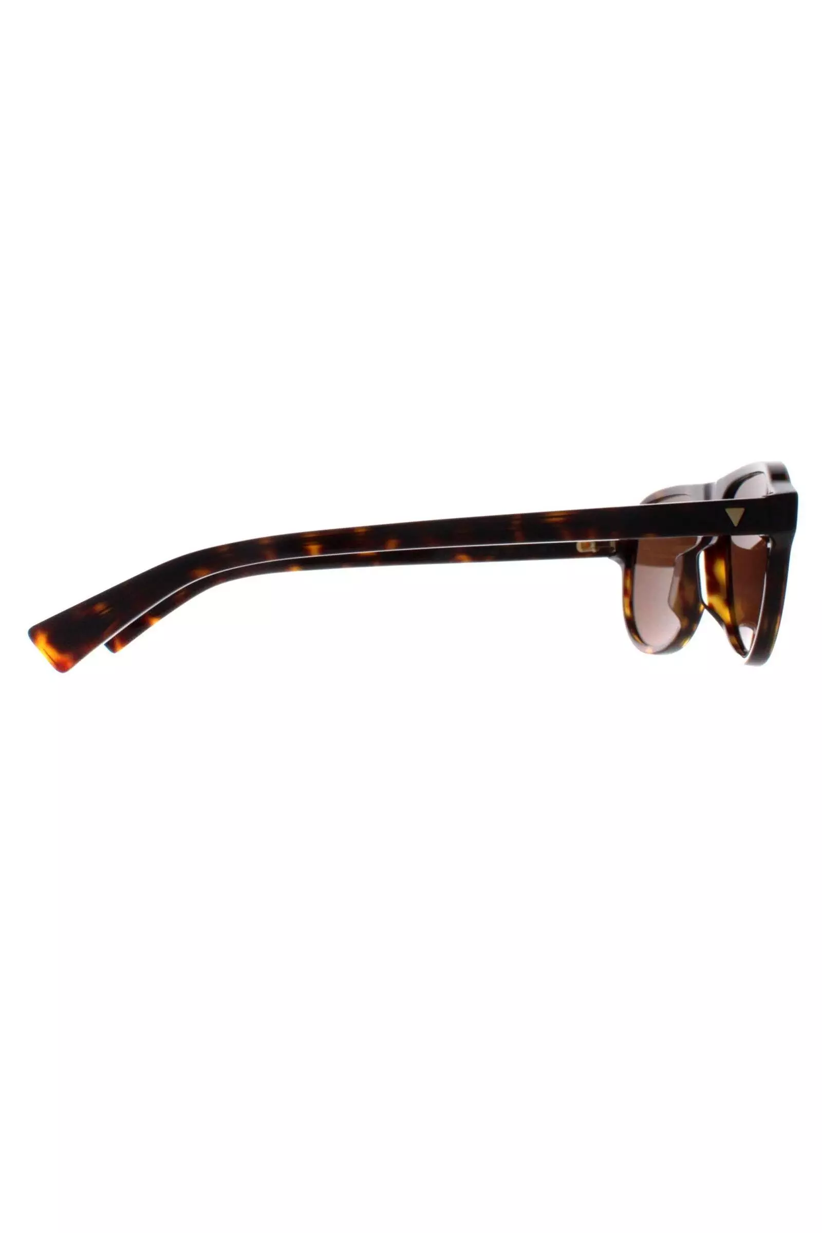 Aviator Havana Brown BV1292S alternative image