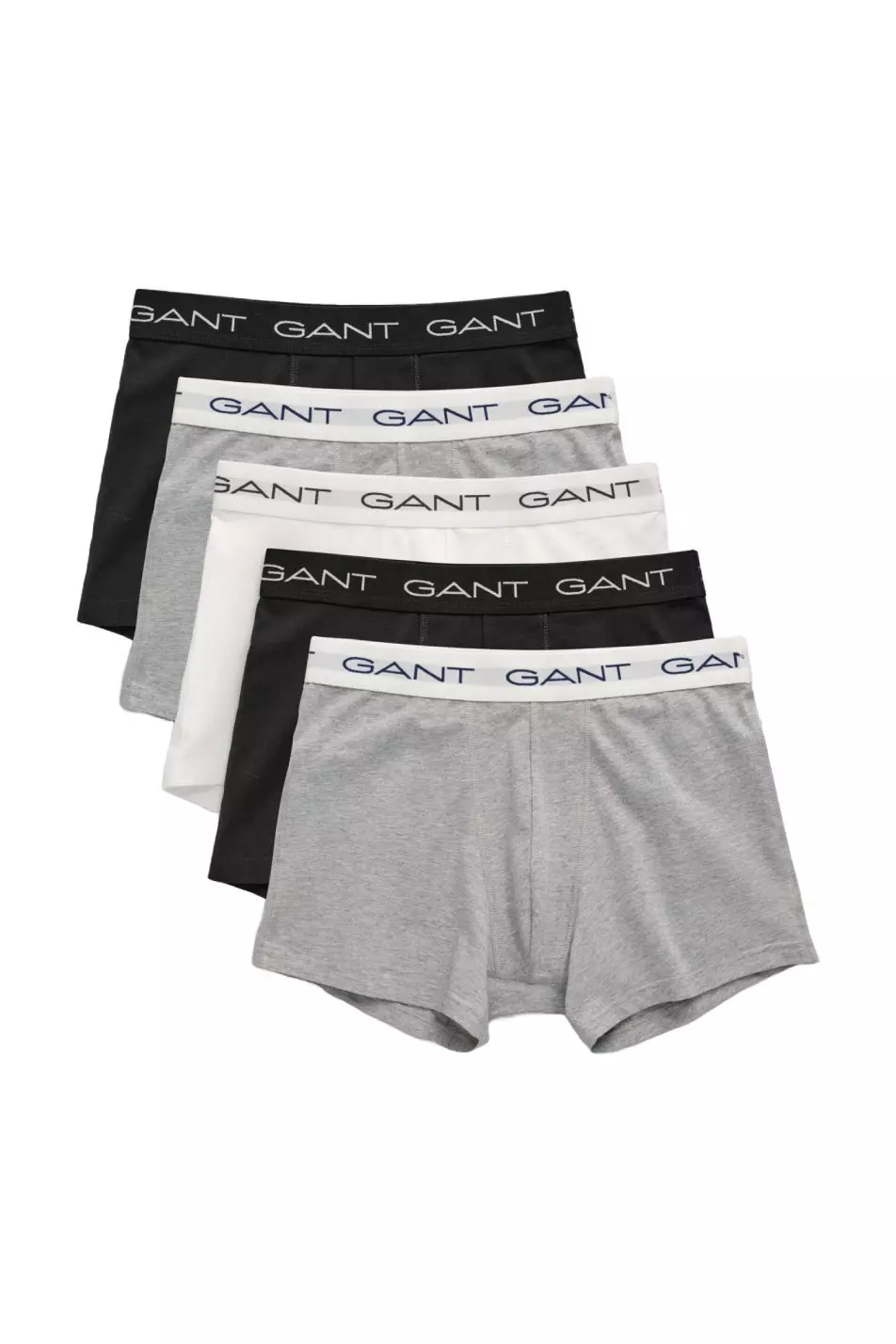 Grey 5 Pack Trunk alternative image