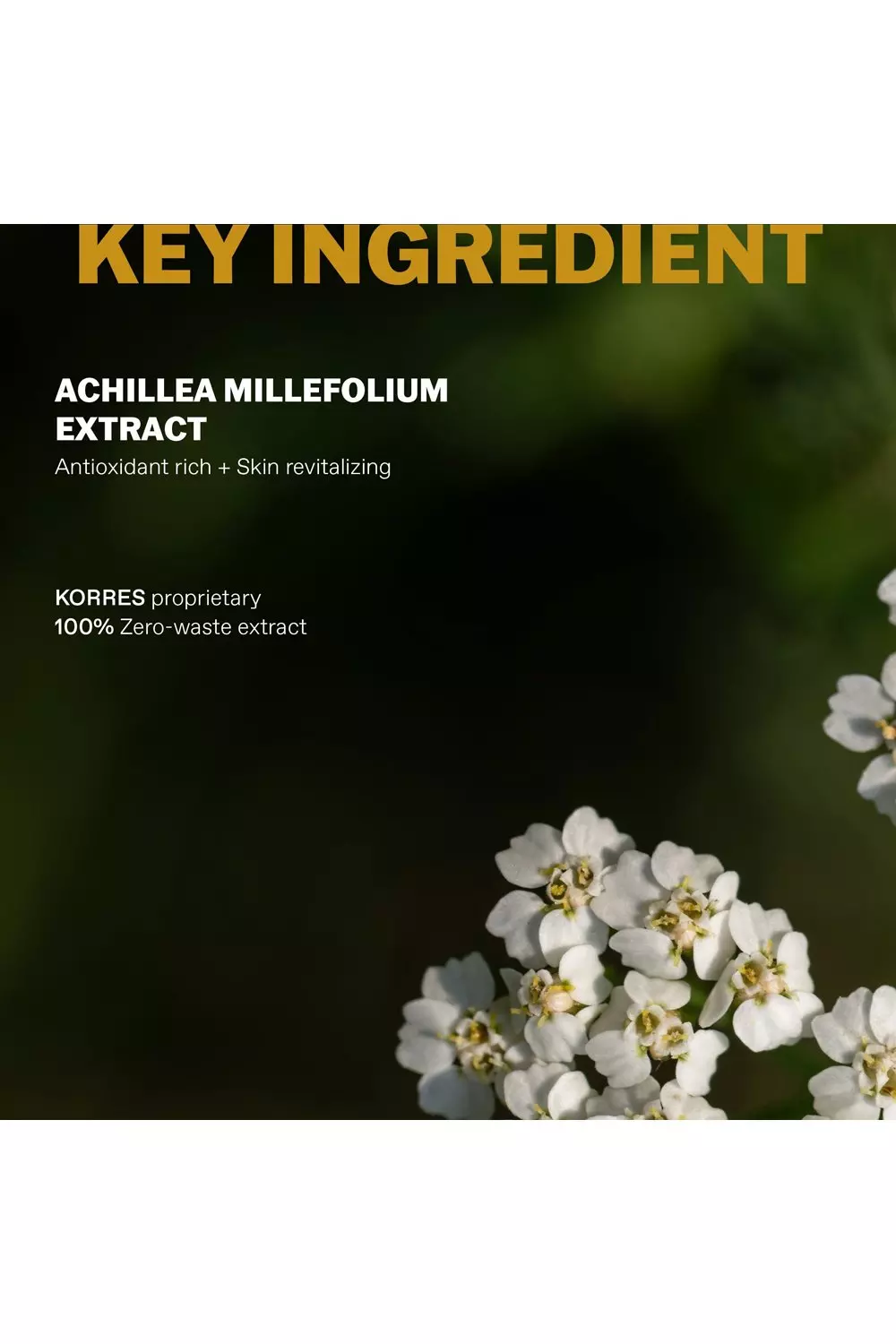 Multi Achillea Mens 2in1 Shampoo & Shower Gel 250ml  alternative image